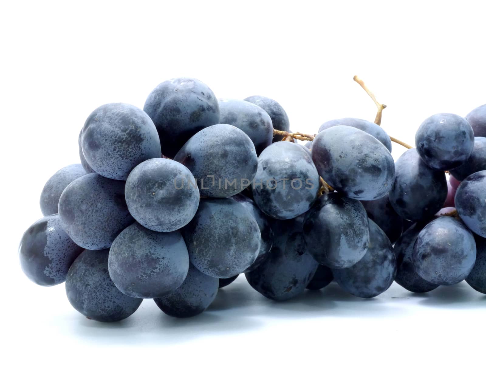 Back grape isolated on white by Noppharat_th