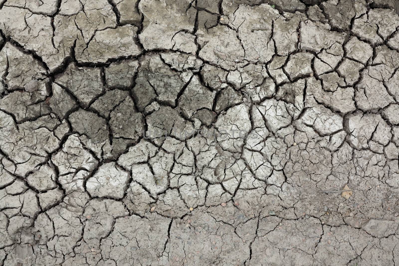 Detail of the cracked ground - dry season
