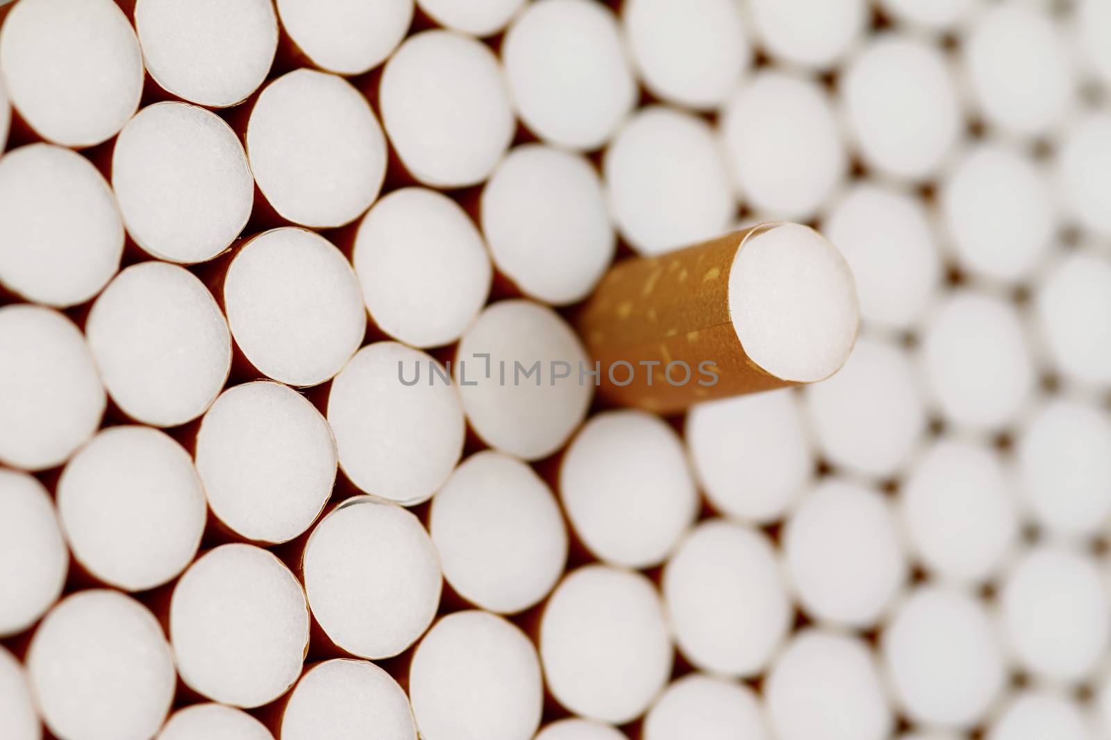 Detail of the heap of filter cigarettes