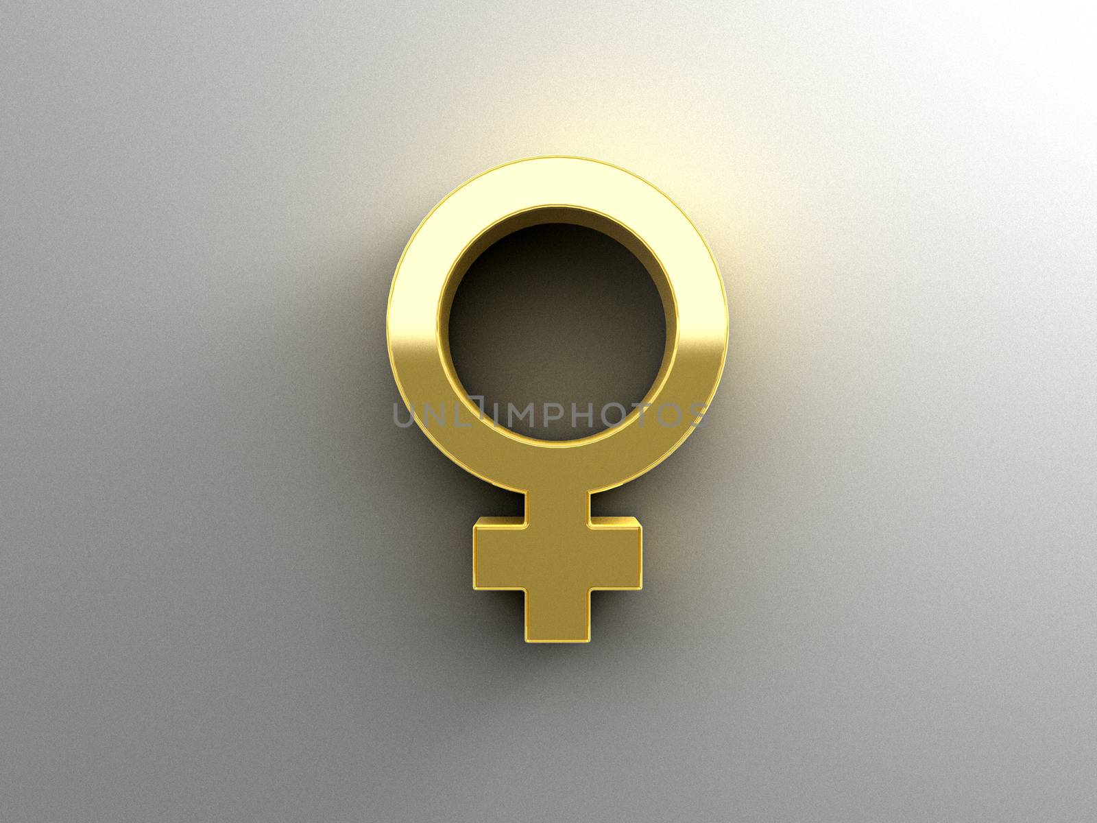 Female sex signs - gold 3D quality render on the wall background with soft shadow.