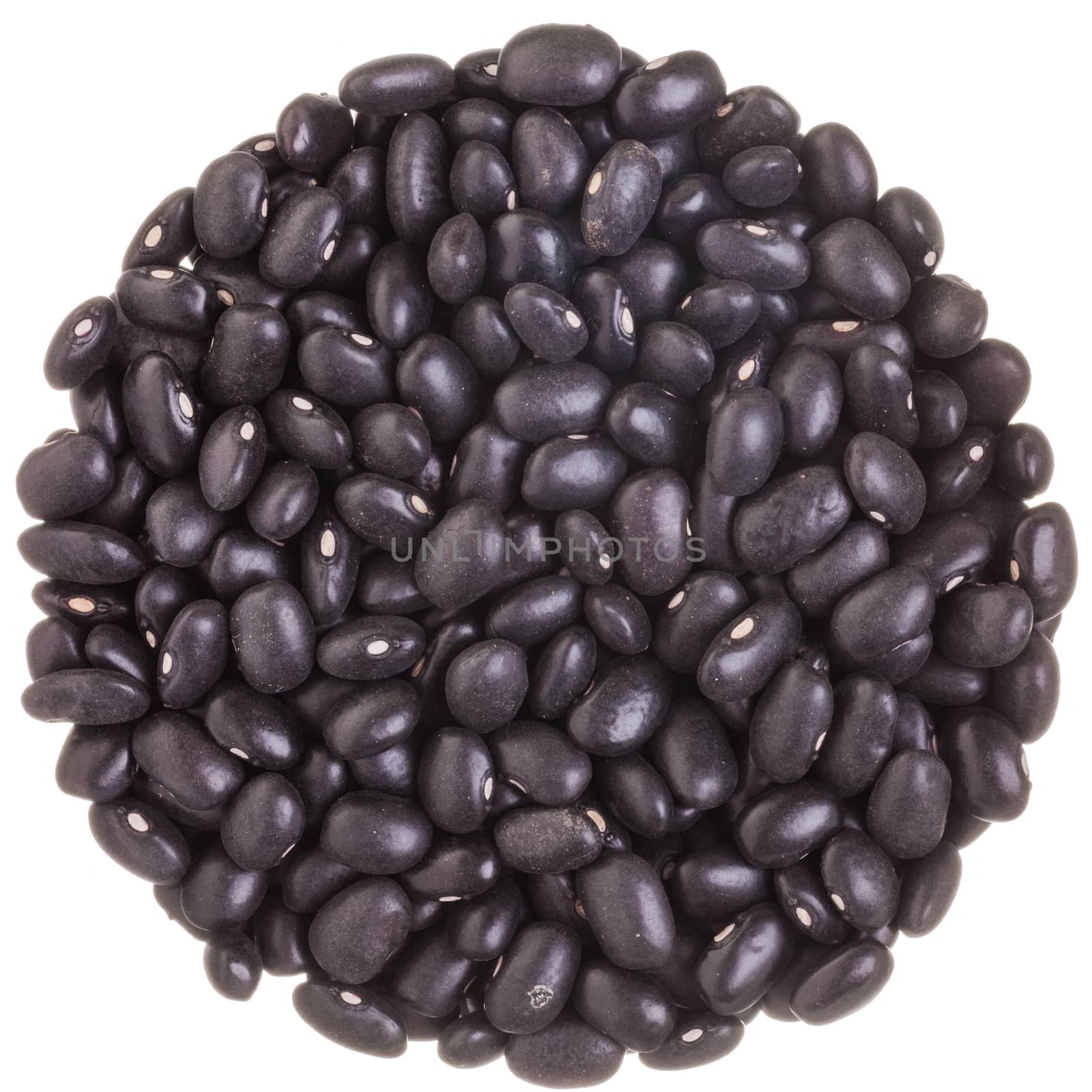 Extreme Closeup Macro Perfect Circle texture of Black Beans