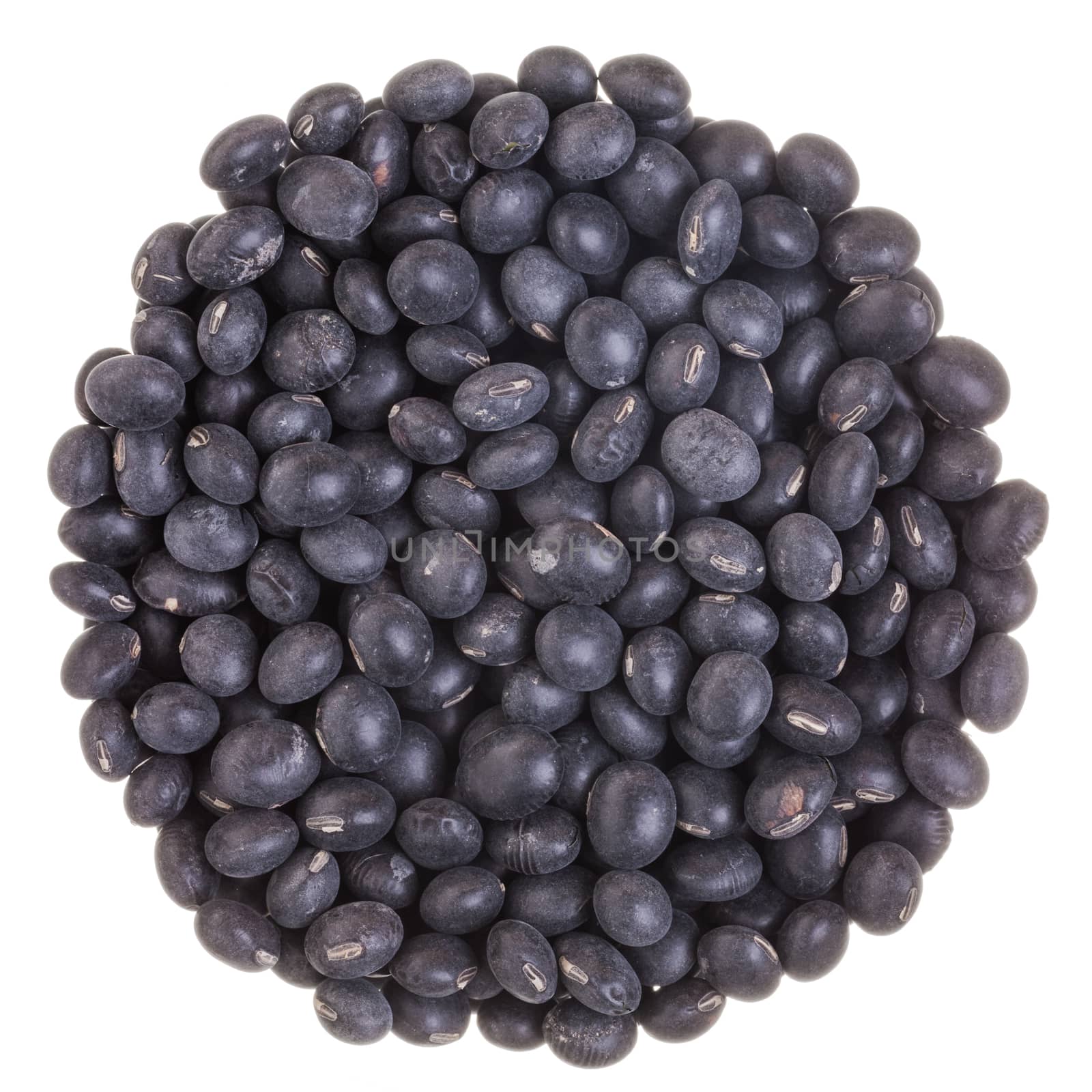 Perfect Circle Texture of Black Soy Beans