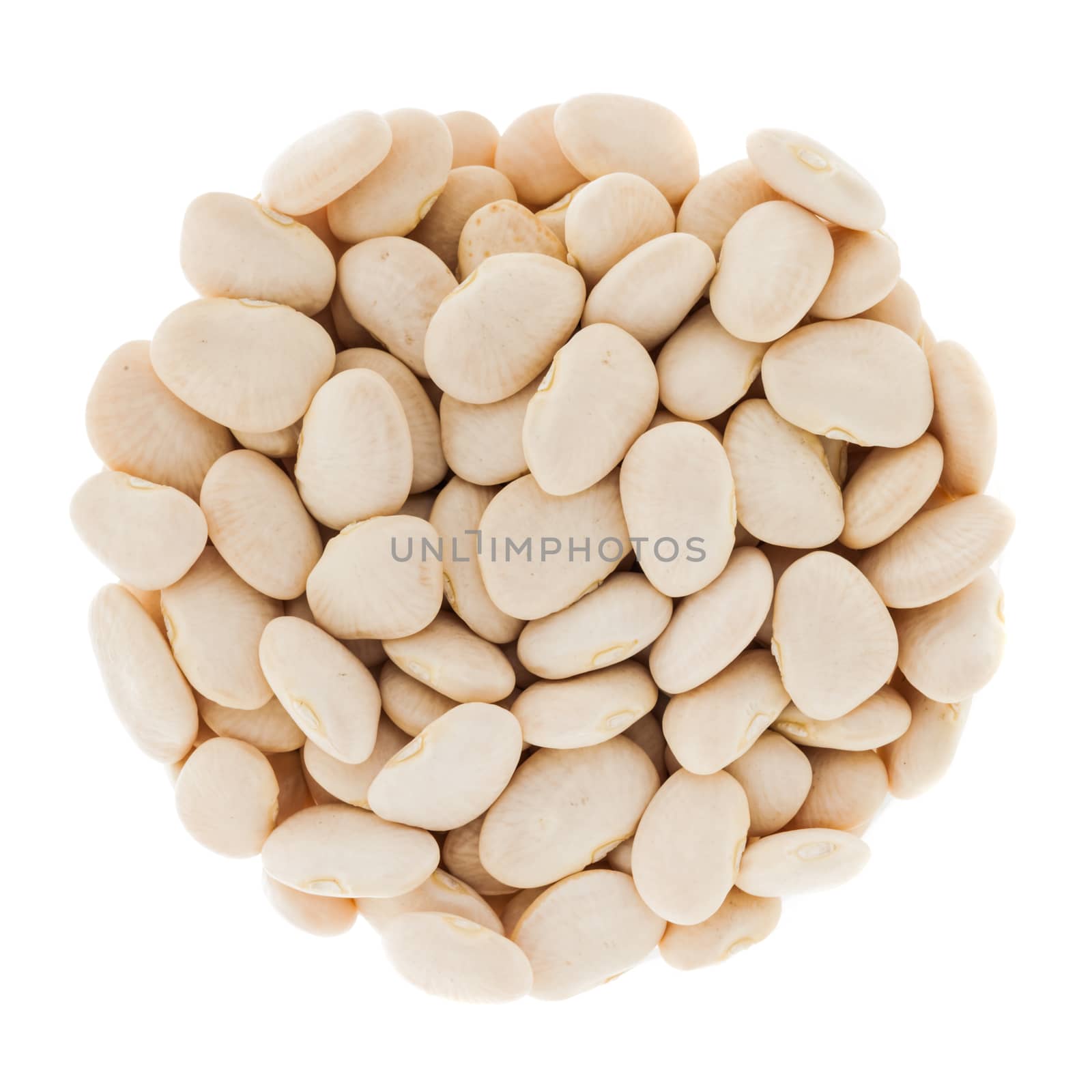 Perfect Circle of White Beans Isolated on White by aetb