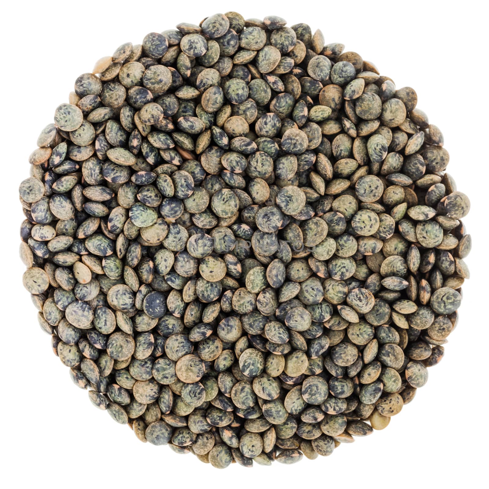 Perfect Circle of French Green Lentils Isolated on White Background