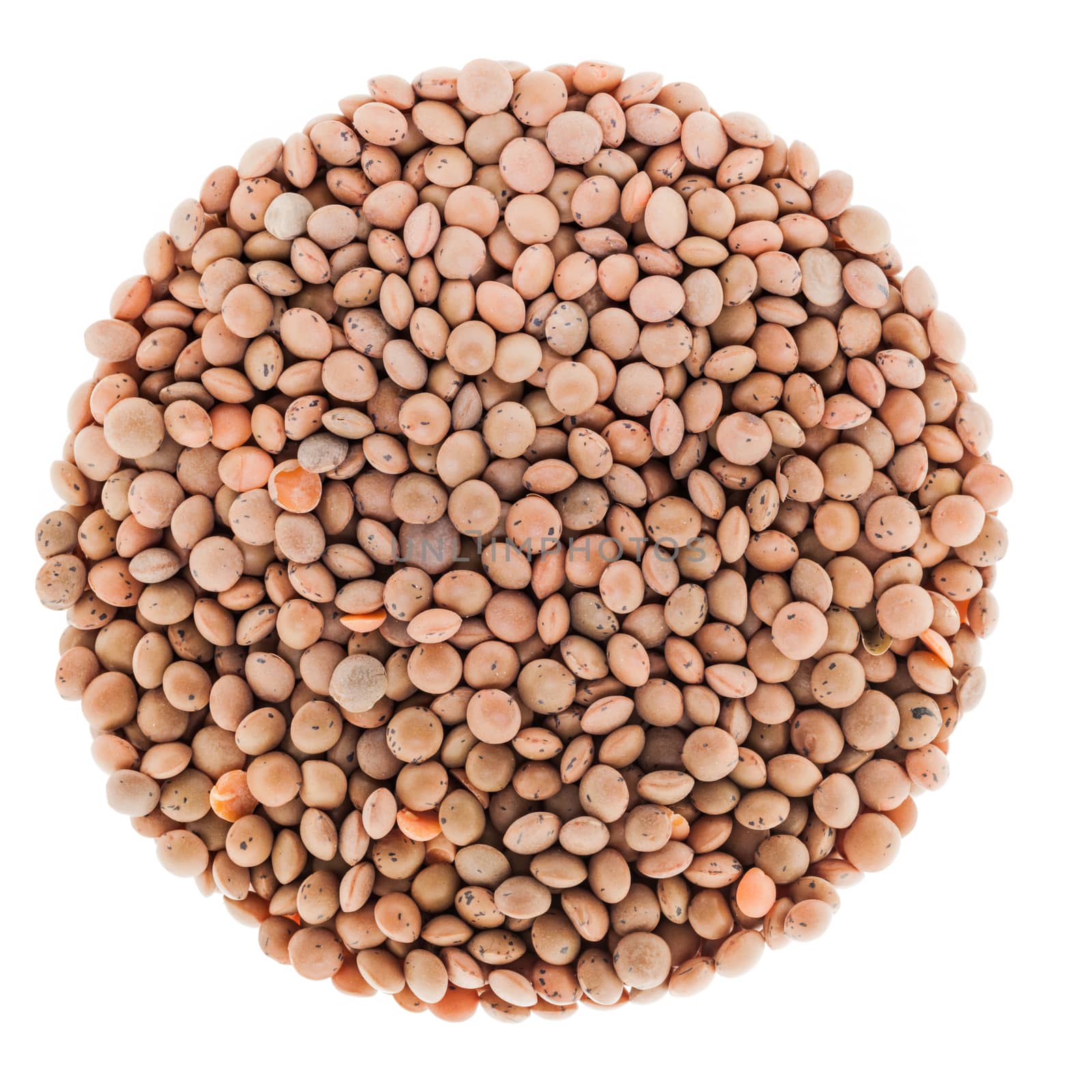 Perfect Circle of Lentils Isolated on White Background