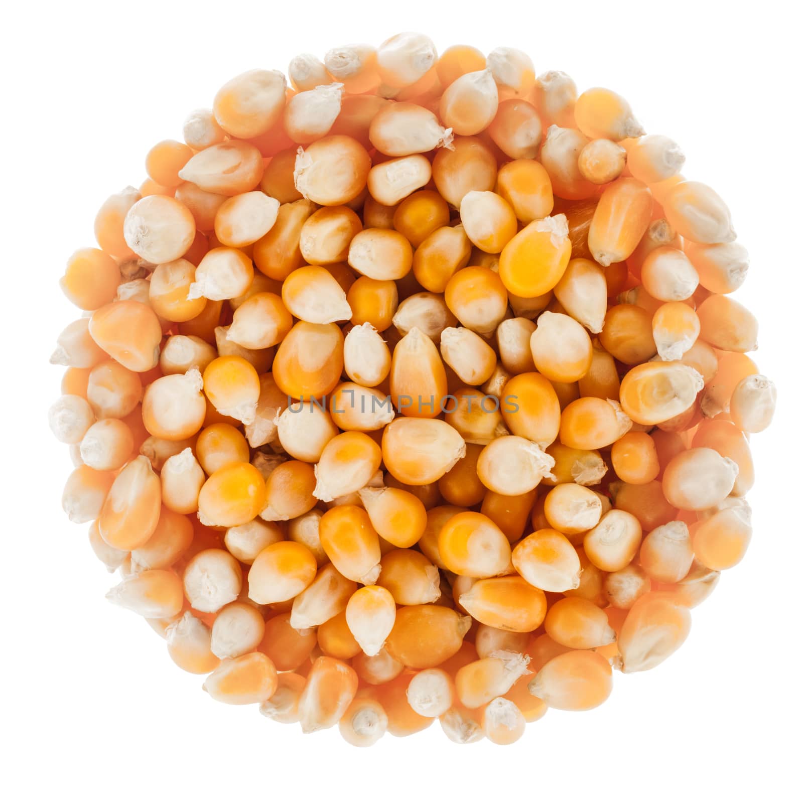 Perfect Circle of Corn Seeds Isolated on White by aetb