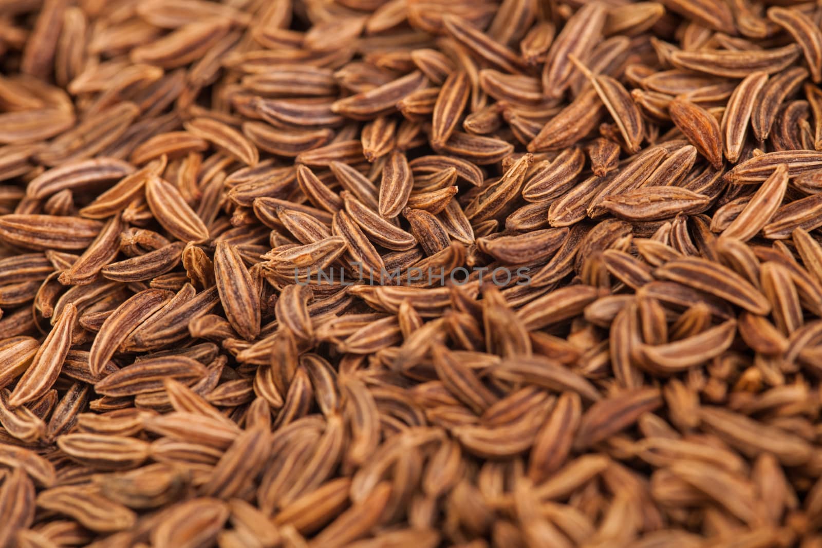 Extreme Macro Closeup of Caraway Seeds texture