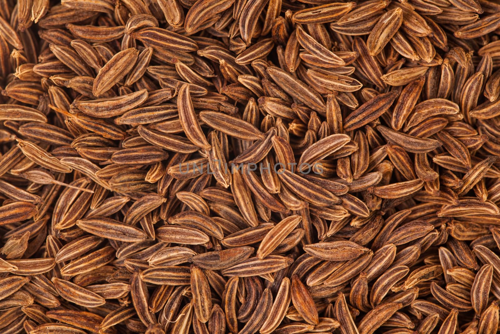 Extreme Macro Closeup of Caraway Seeds texture