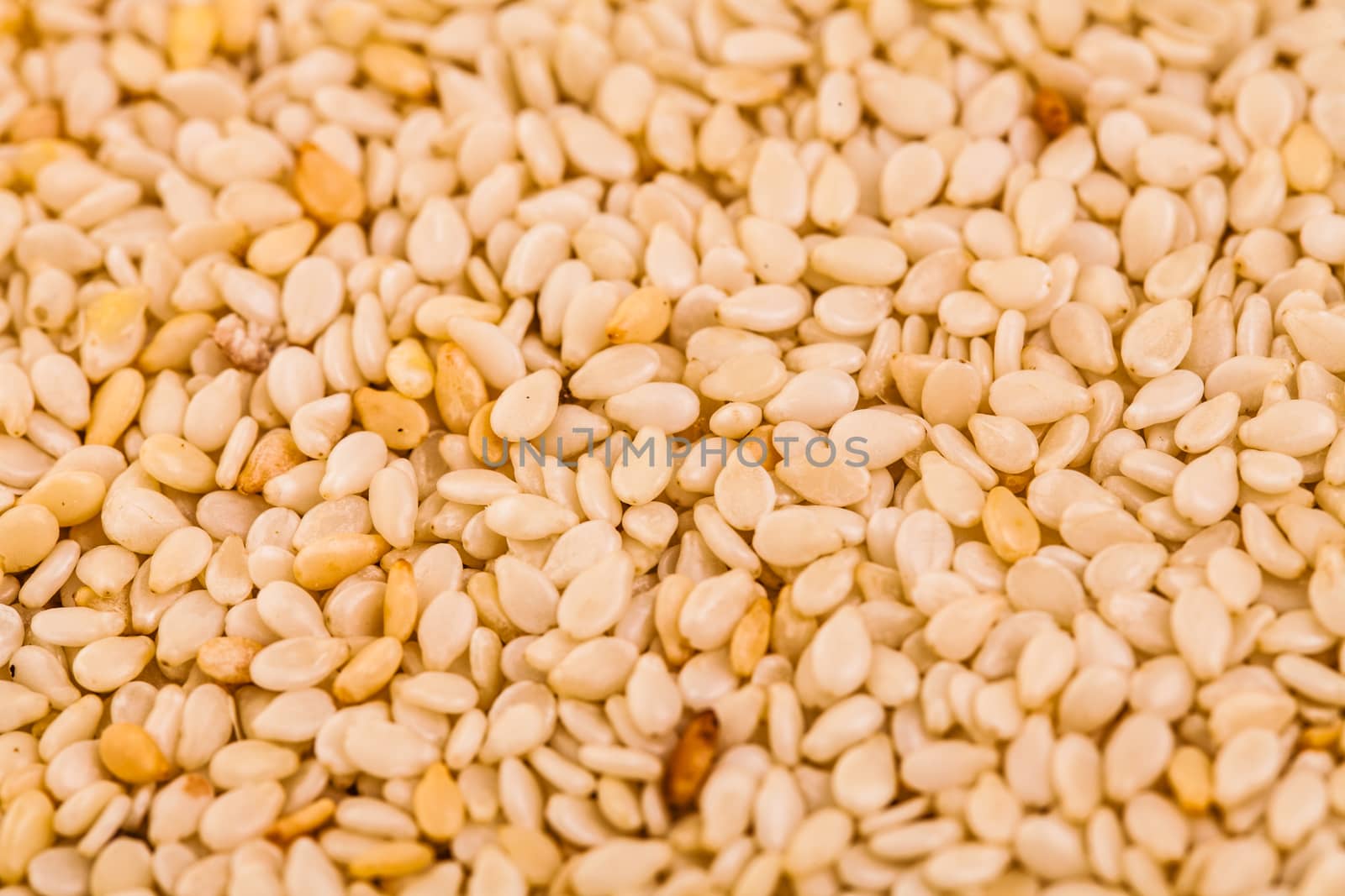 Extreme Closeup of Sesame Whole Seeds Texture