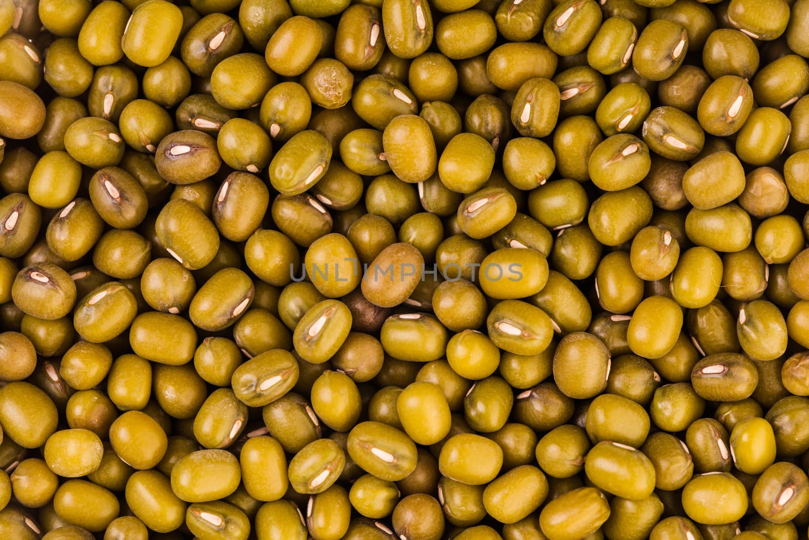 Extreme Closeup Macro Texture of Green Peas