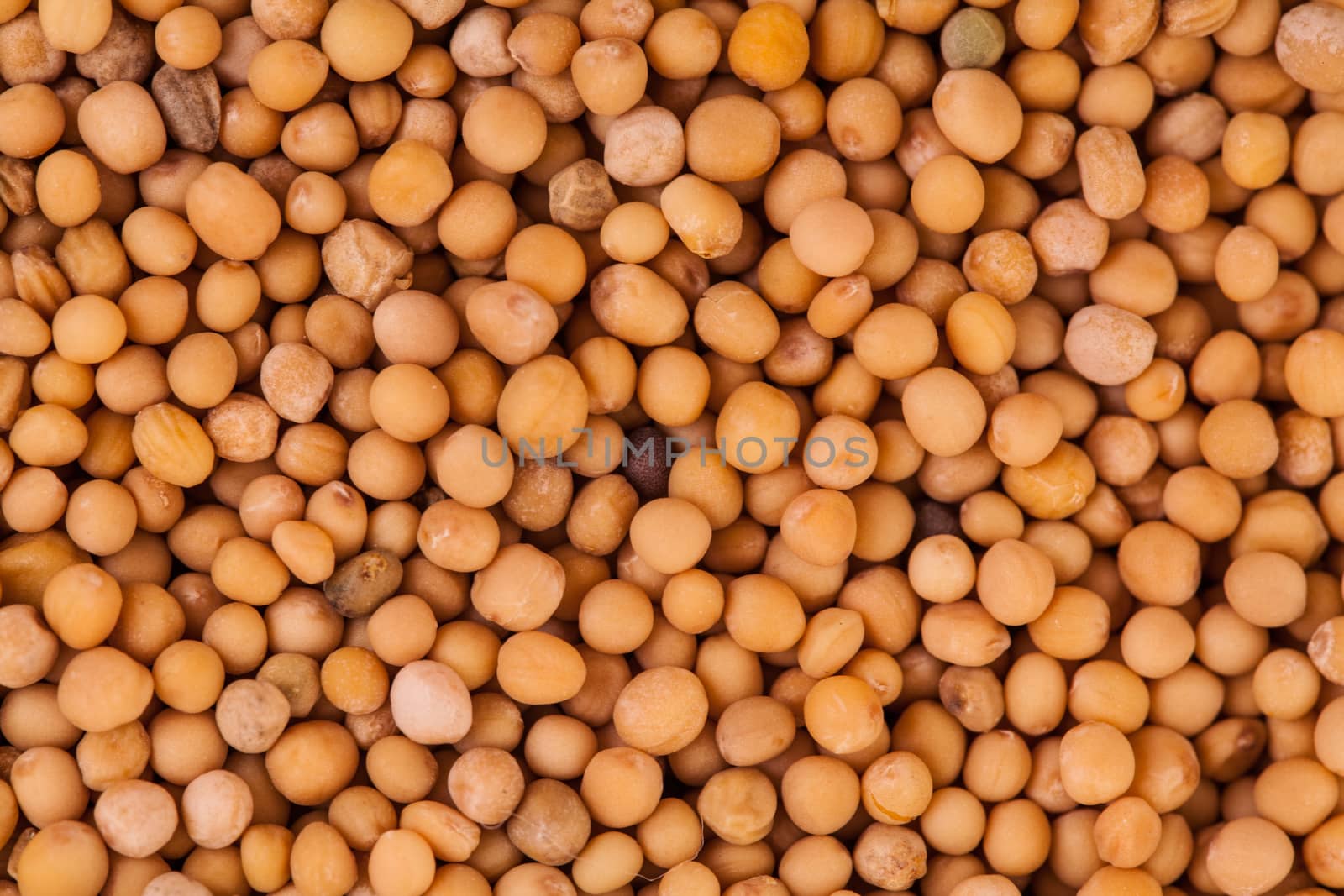 Extreme Closeup Macro Texture of Beige Peas