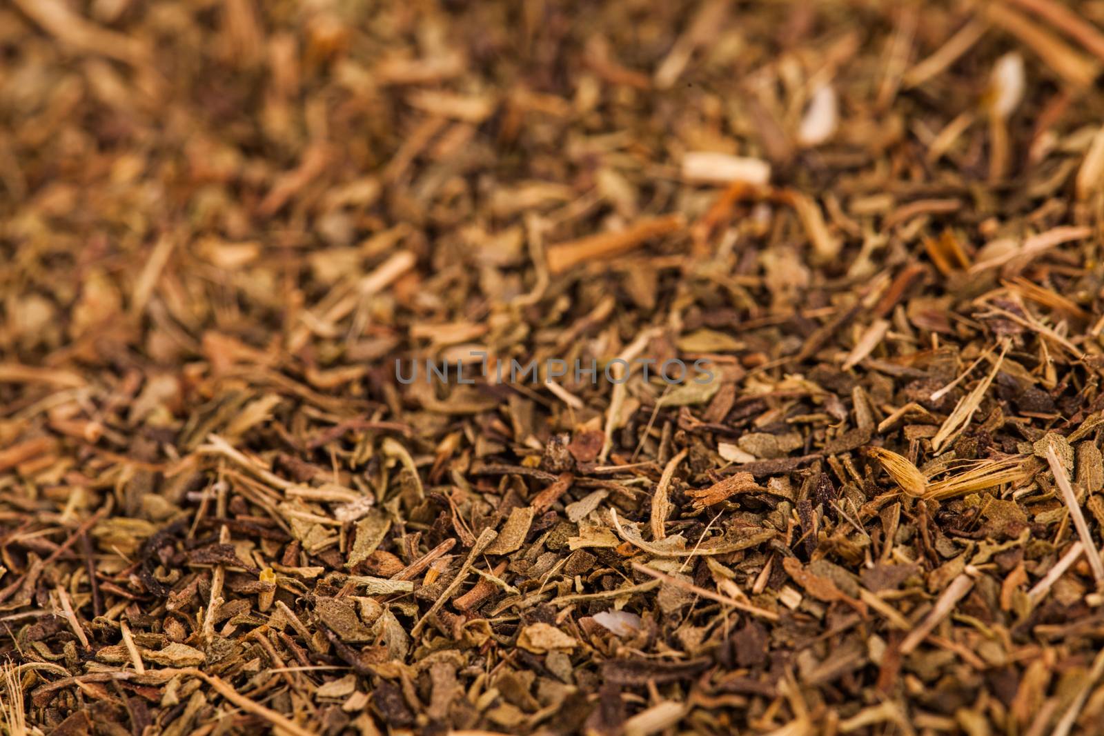 Extreme Macro Thyme Texture Details shot in studio