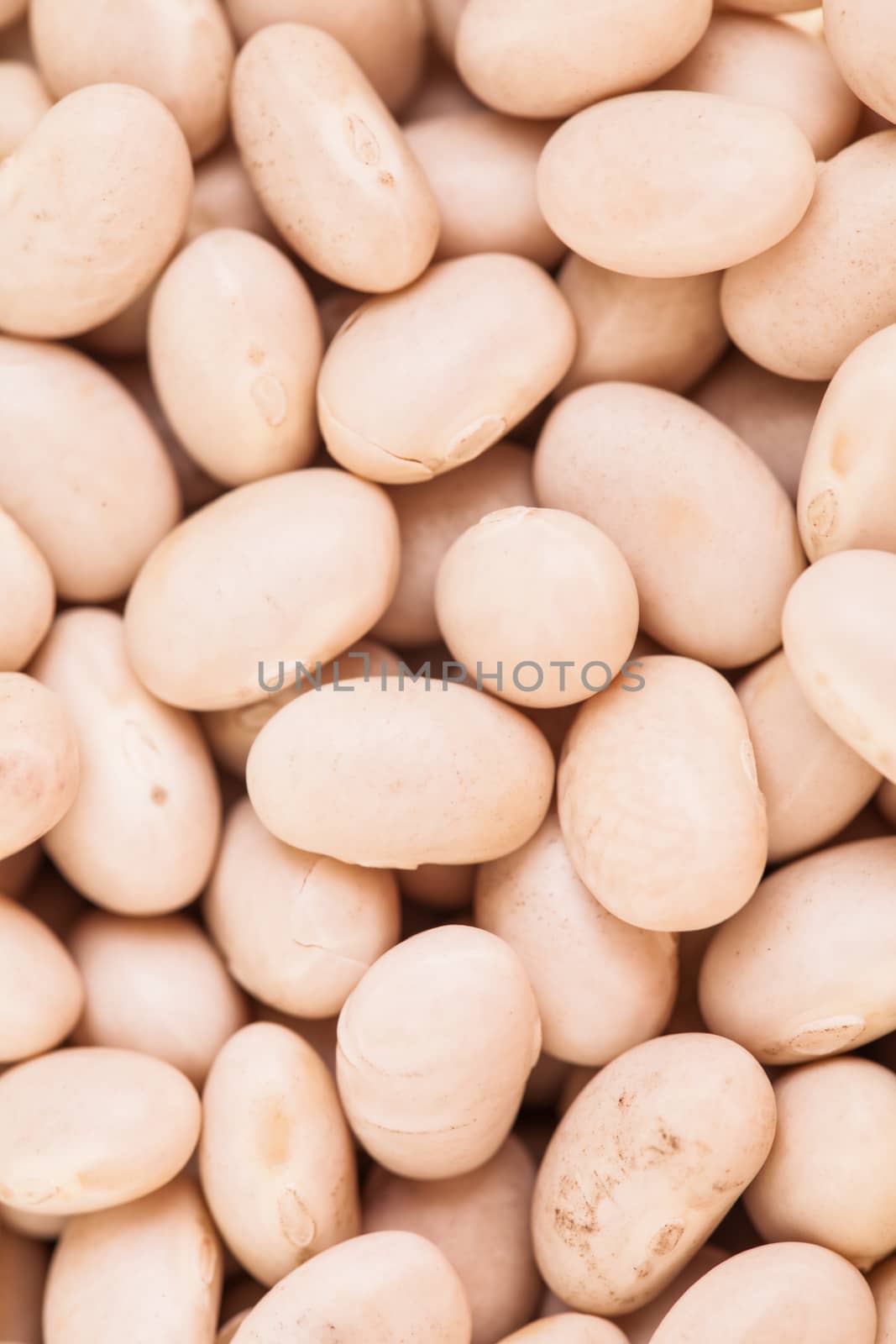 Macro Texture of Beige Beans by aetb