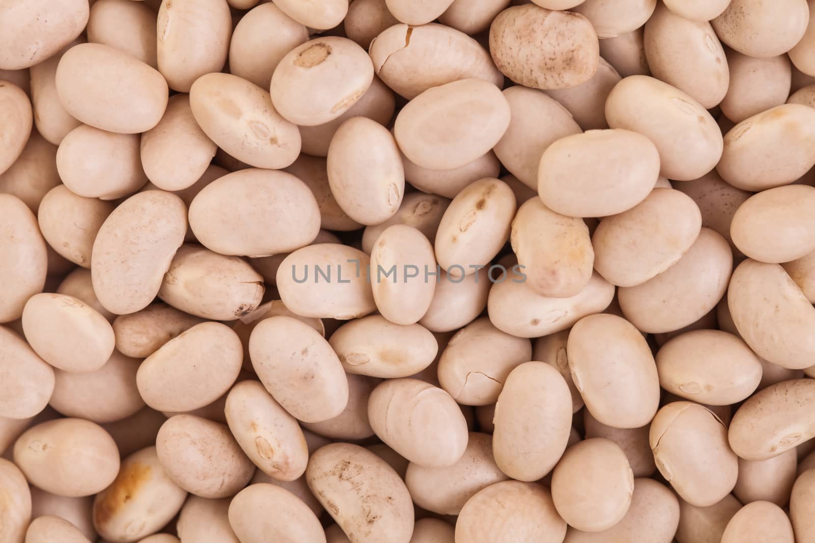 Extreme Closeup Macro Texture of Beige Beans