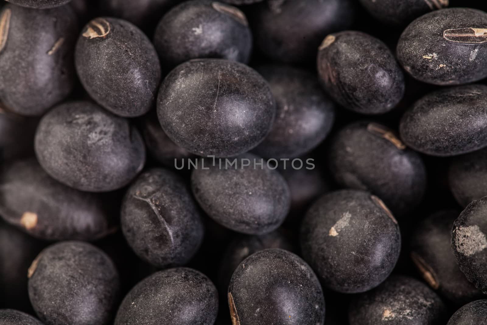 Extreme Closeup Macro Texture of Black Soy Beans