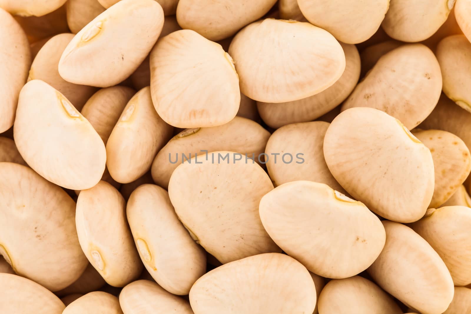 Extreme Closeup Macro Texture of White Beans