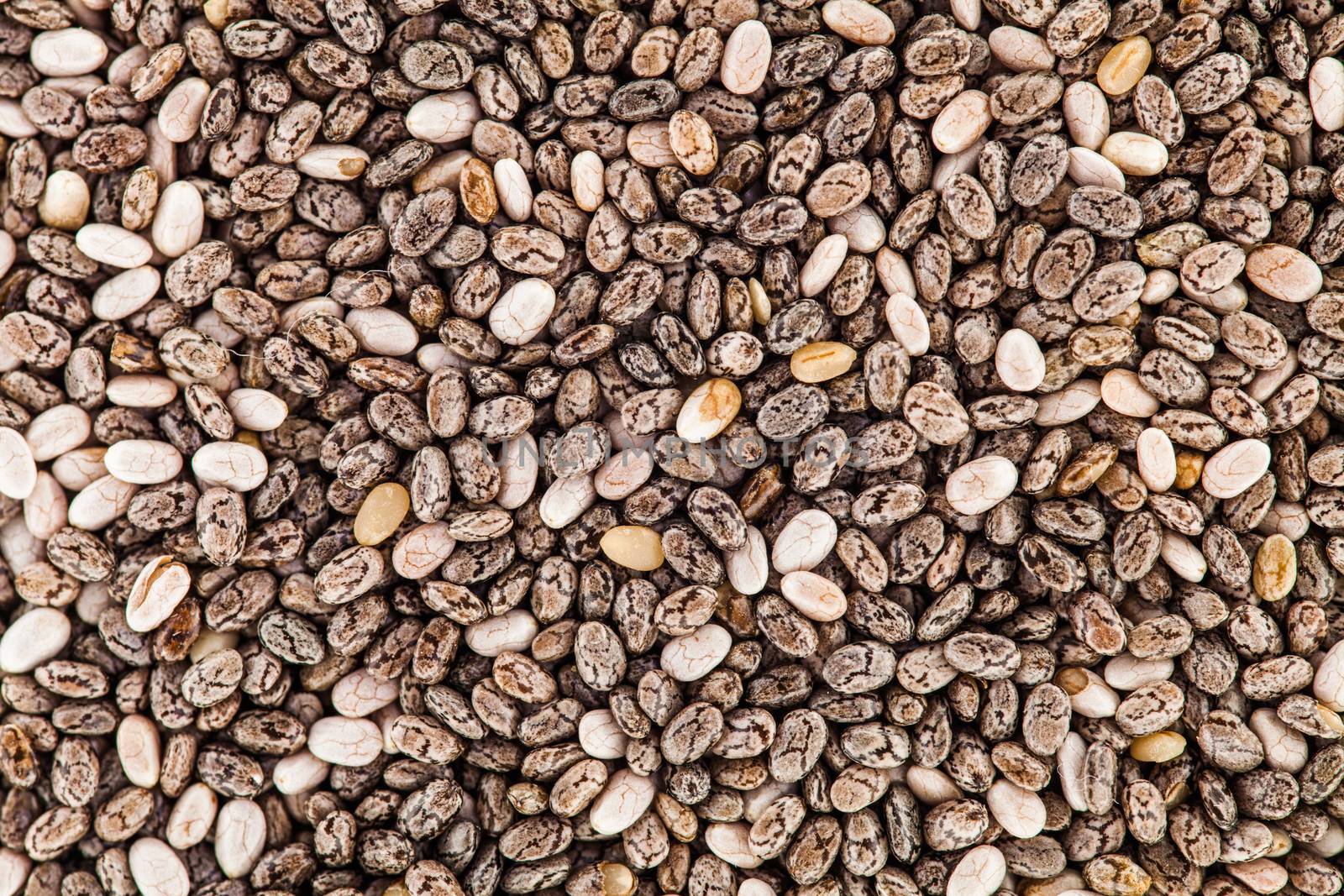 Extreme Closeup Texture of Chia Seeds - Studio Shot by aetb