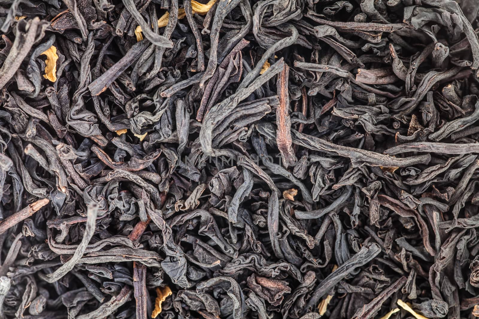 Extreme Macro Closeup of Tea Leaves - Studio Shot