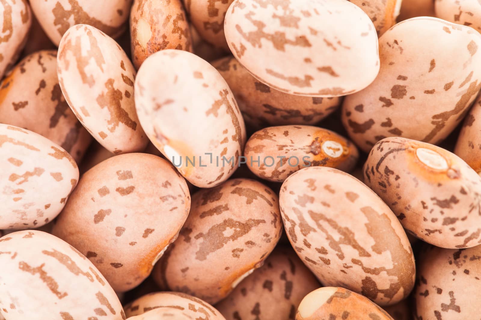 Closeup of Beige Big Beans  by aetb