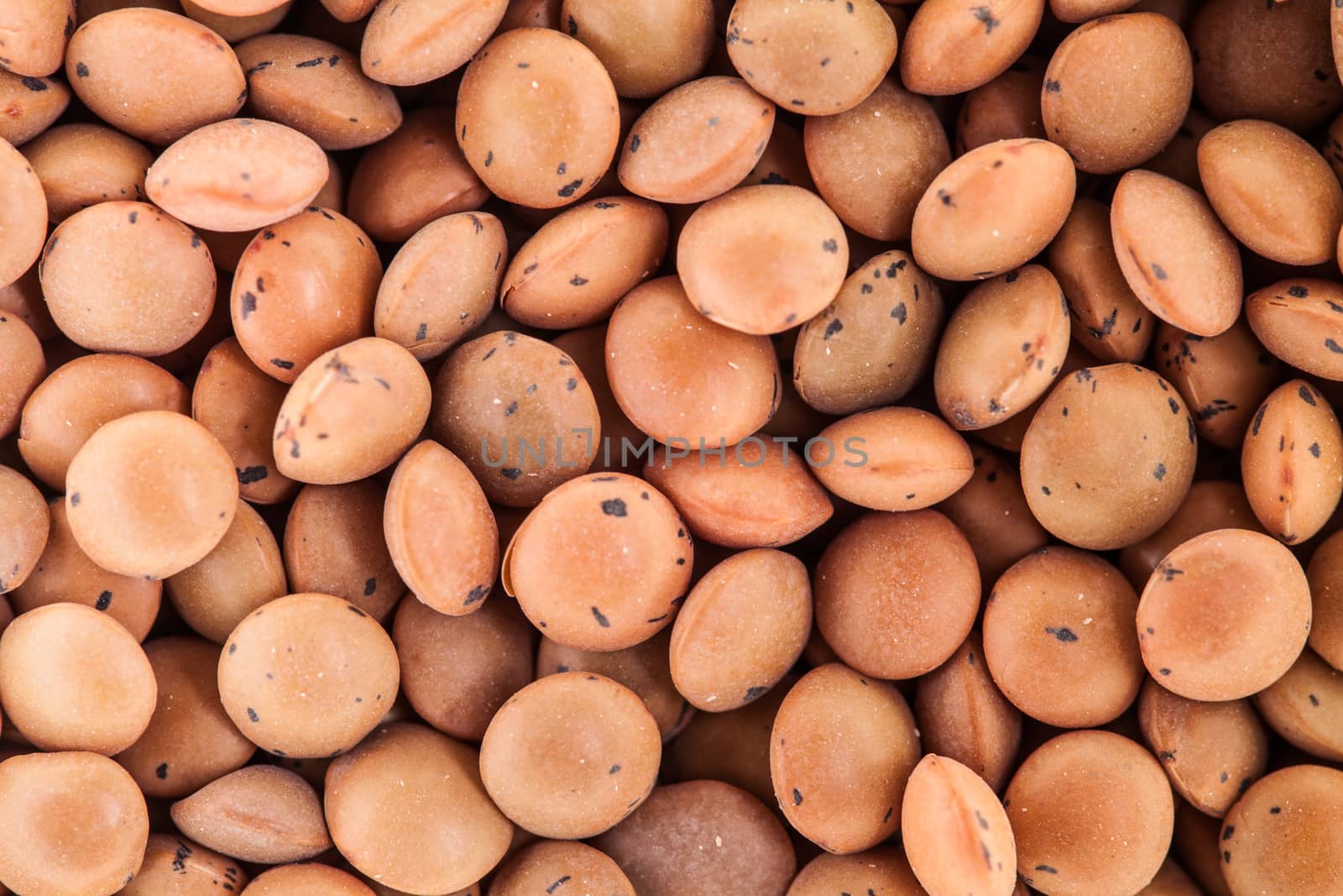 Extreme Closeup Texture of Lentils  by aetb