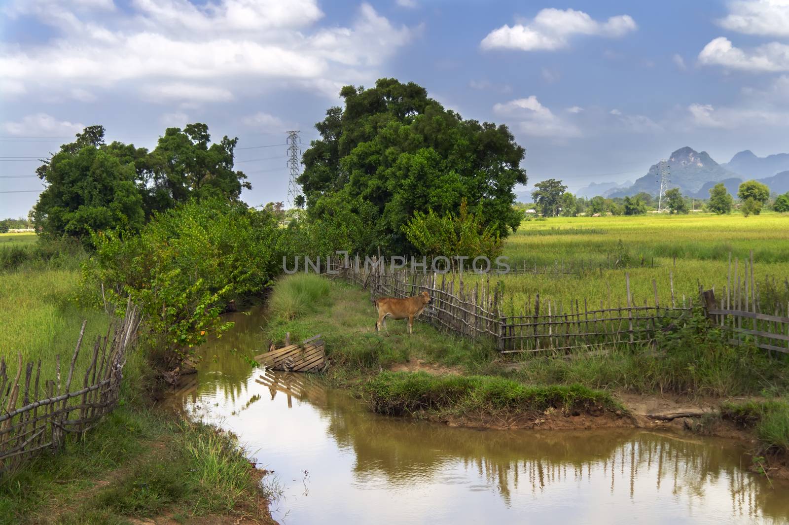 Rural Landscape. Roads of Laos. Khammouane province. 