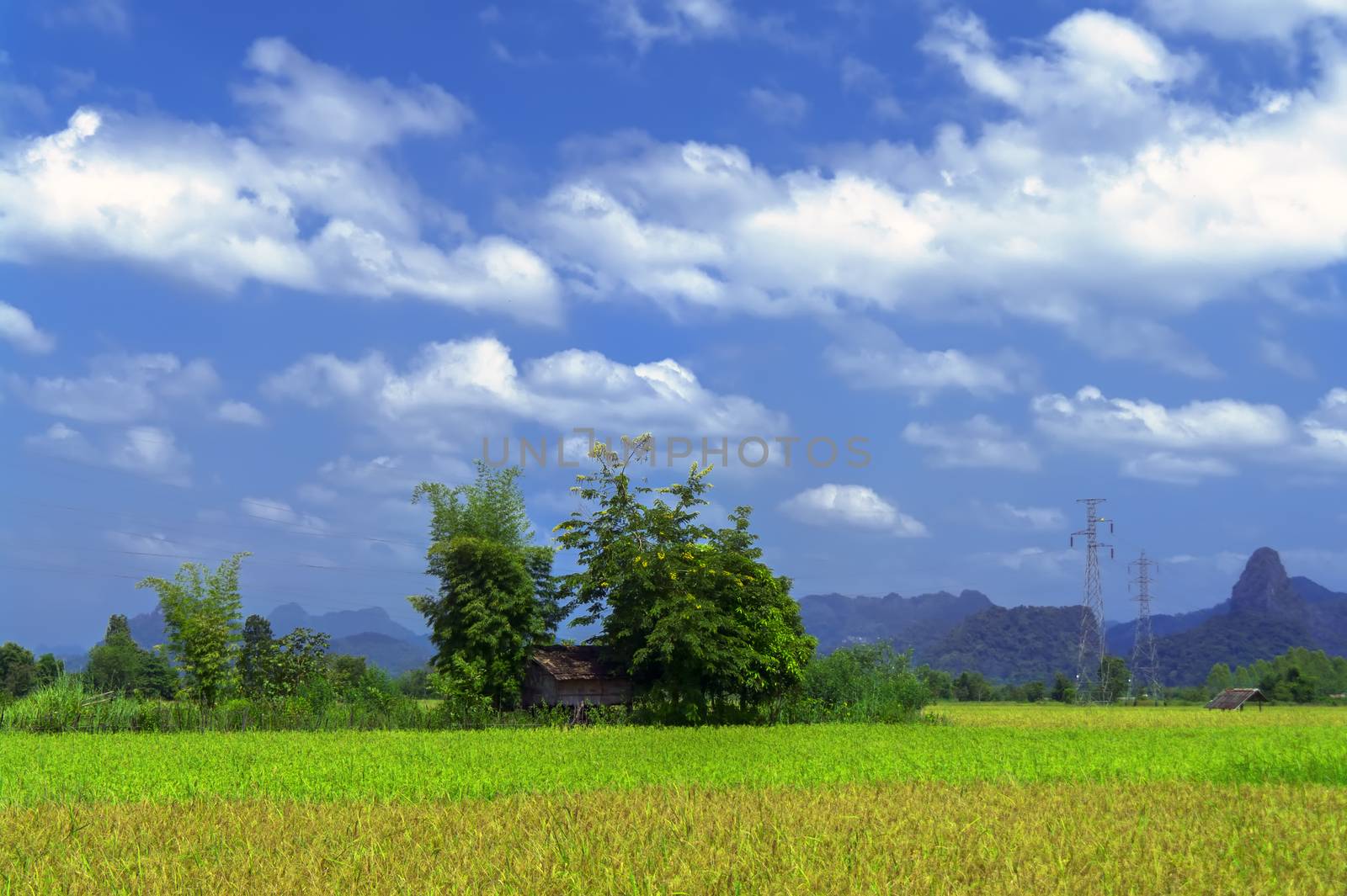 Hidden Among Trees. Khammouane Province of Laos. 