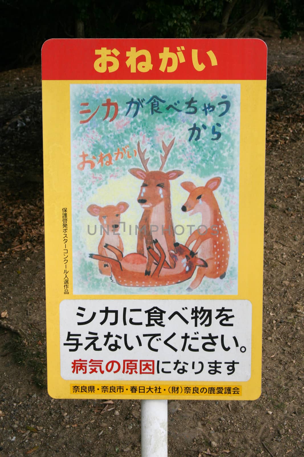 Japanese Sign in Nara, prohibiting feeding of the animals