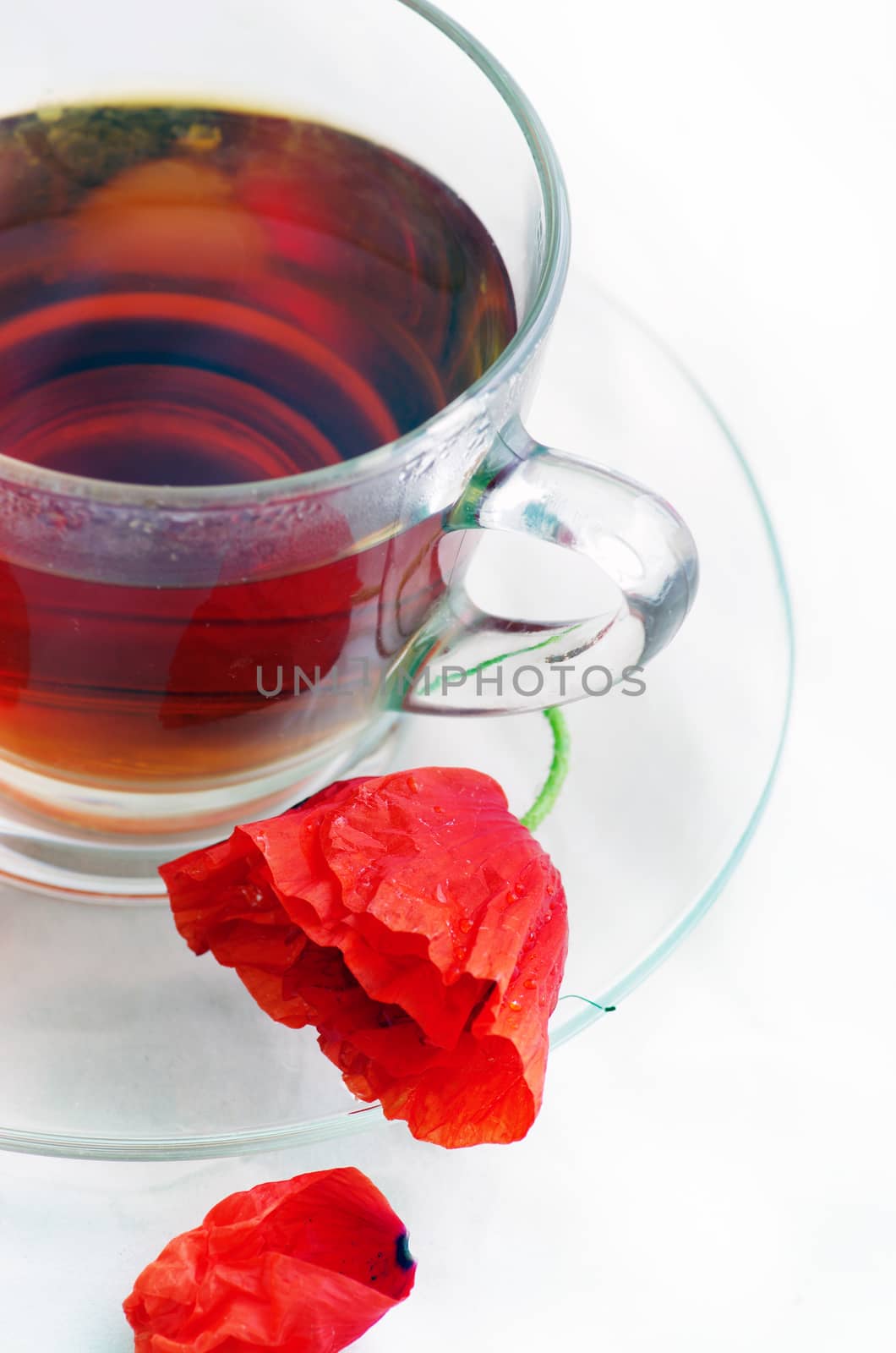 Poppy in glass cup on white table 