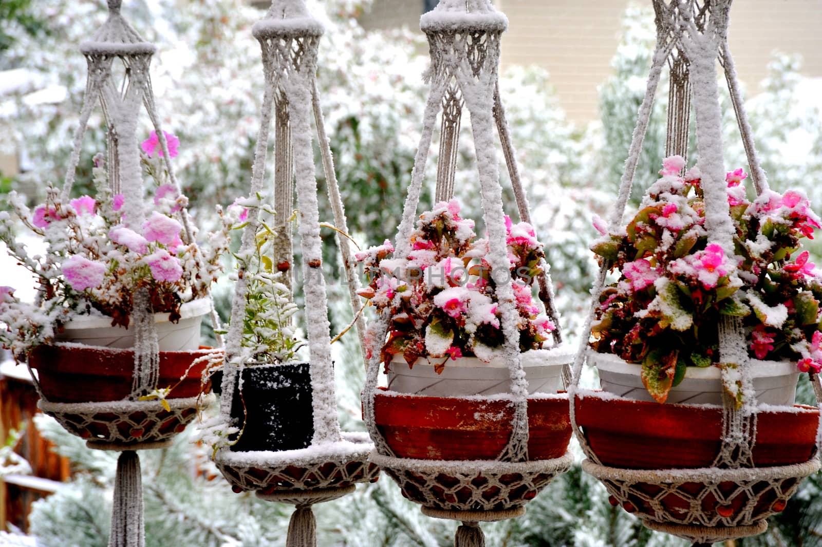 Winter snow on patio deck outdoors.