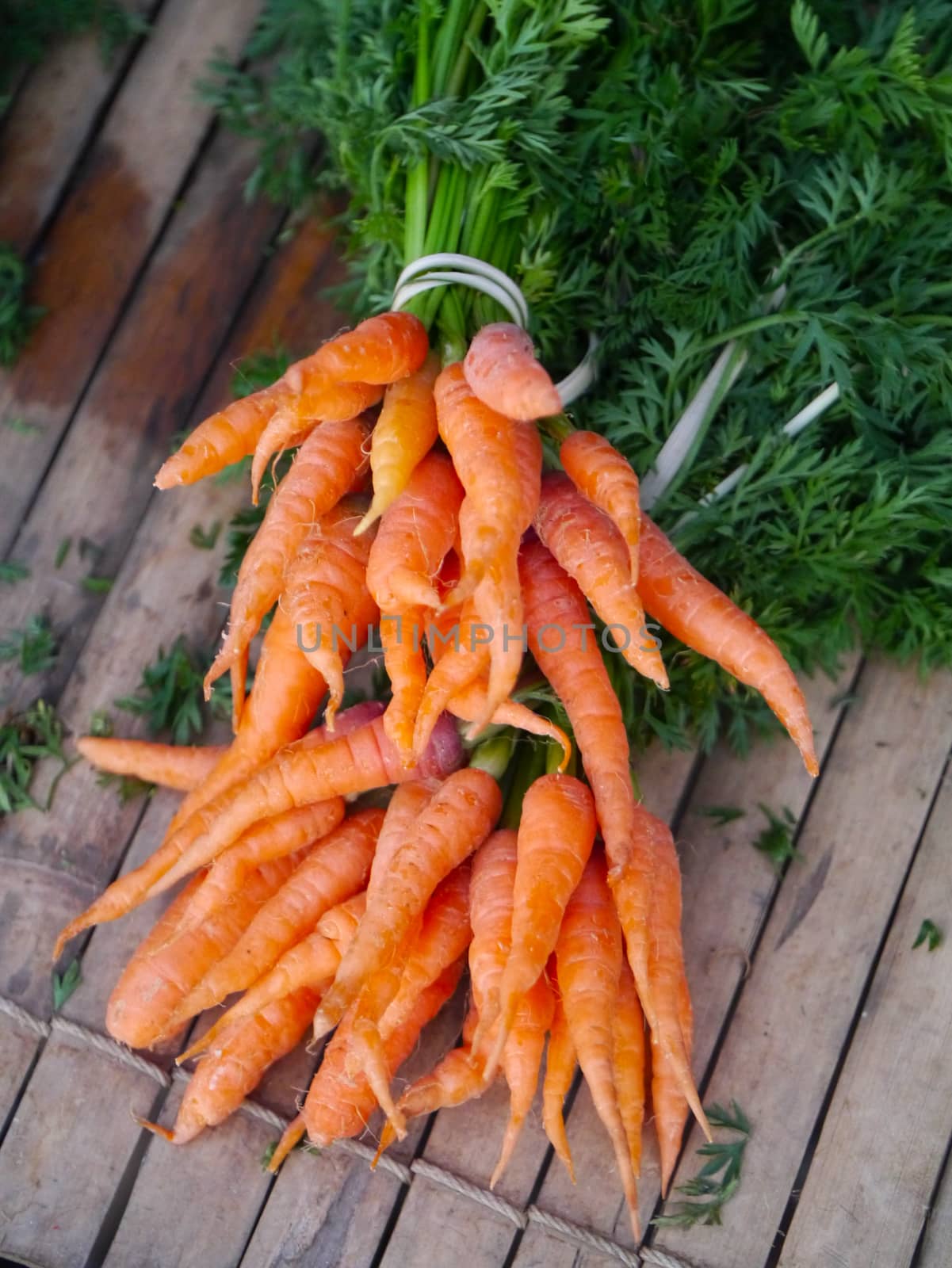 Bunch of fresh baby carrots by Noppharat_th
