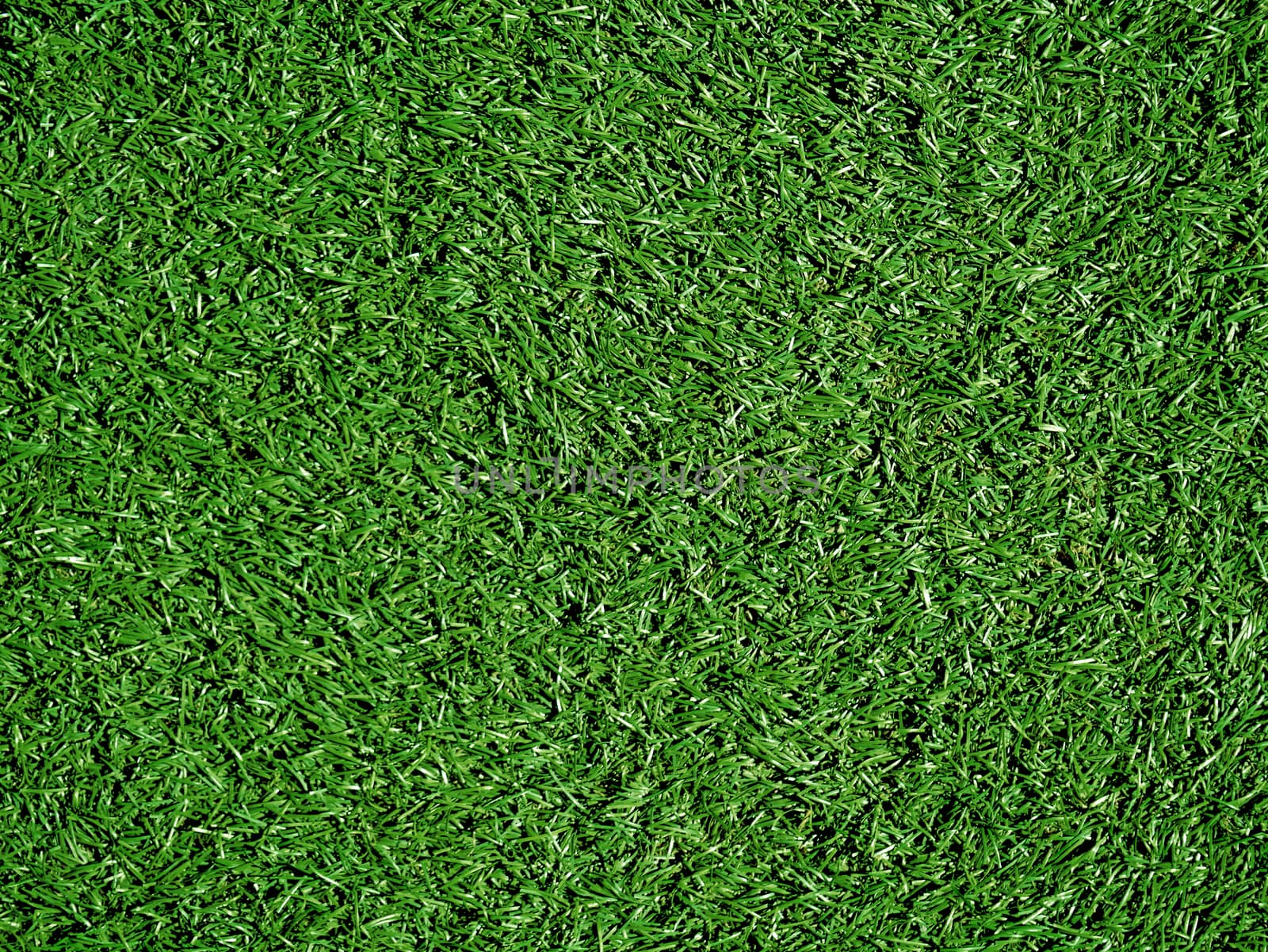 Artificial Grass Field Top View Texture