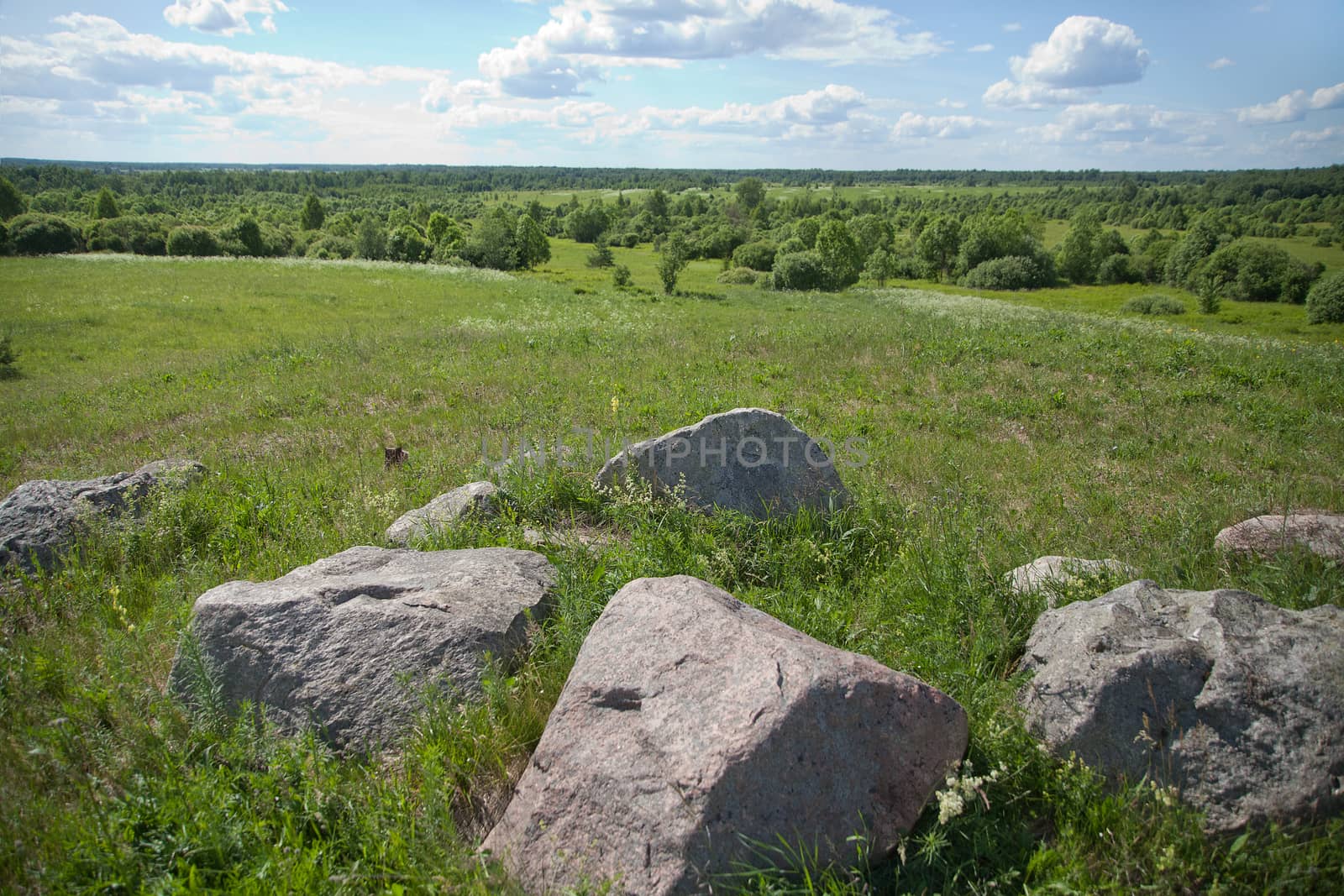 Summer landscape with stones, grass, trees and clouds