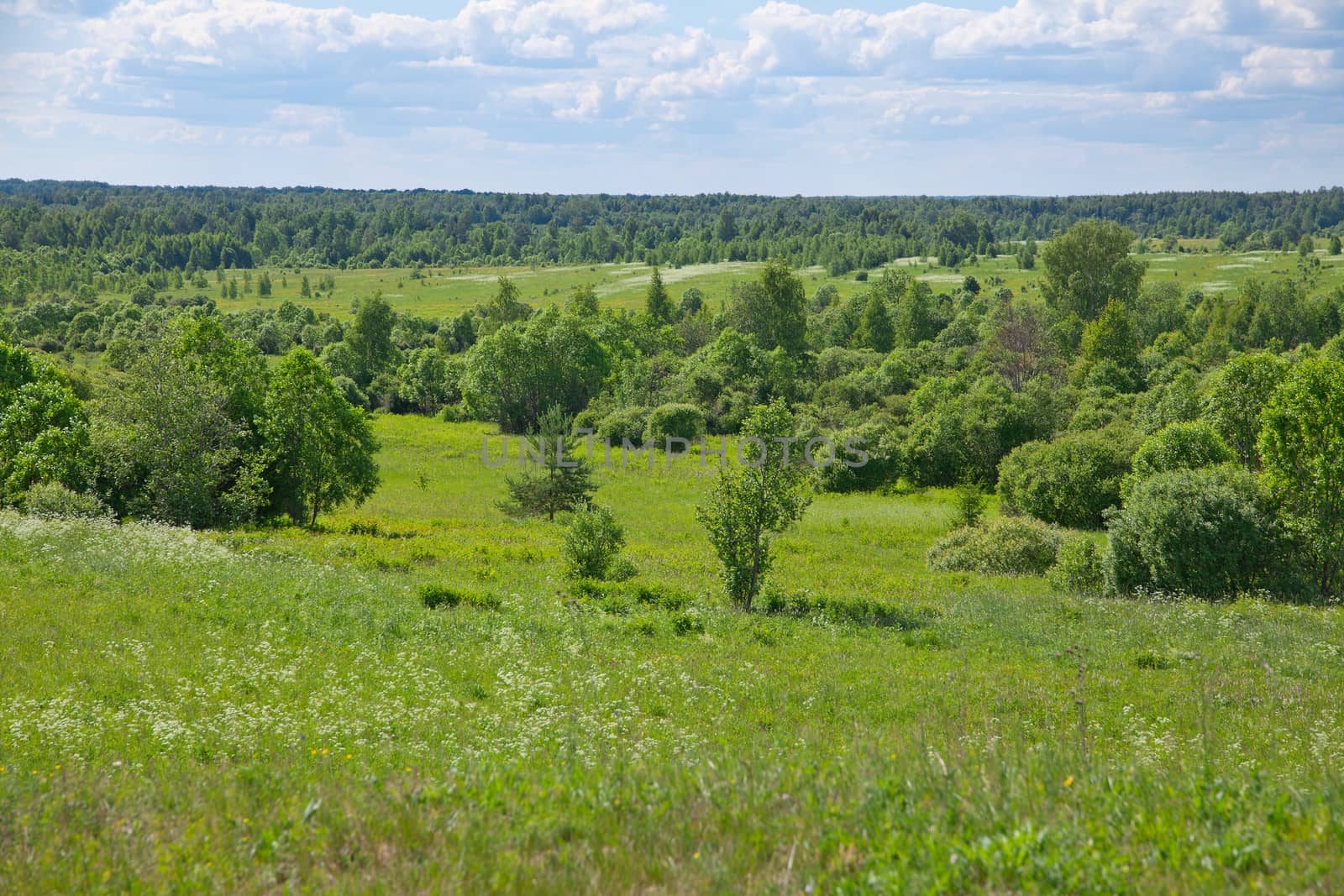 Summer landscape with meadow, trees, forest and clouds