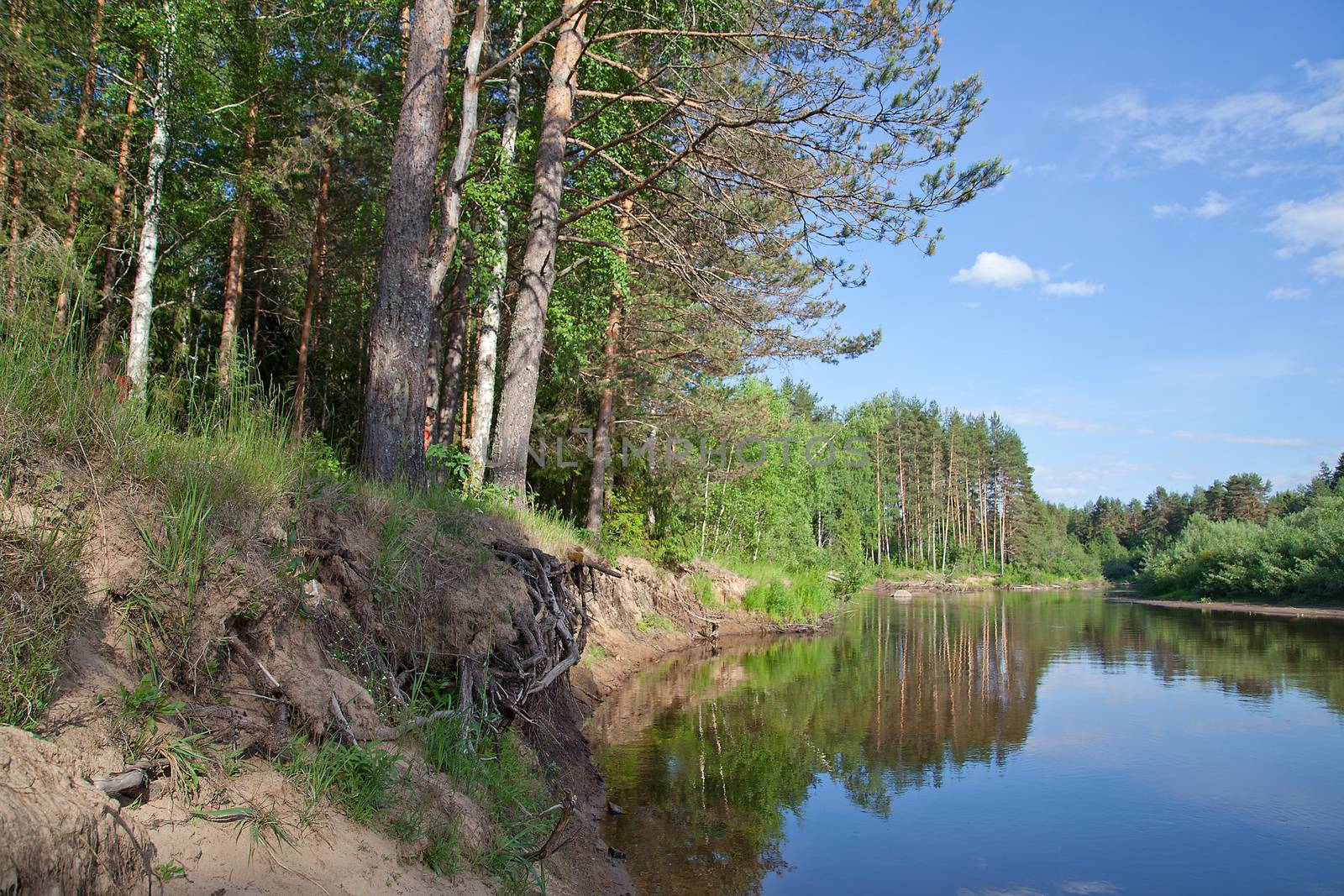 Summer landscape with river, forest and sandy shore