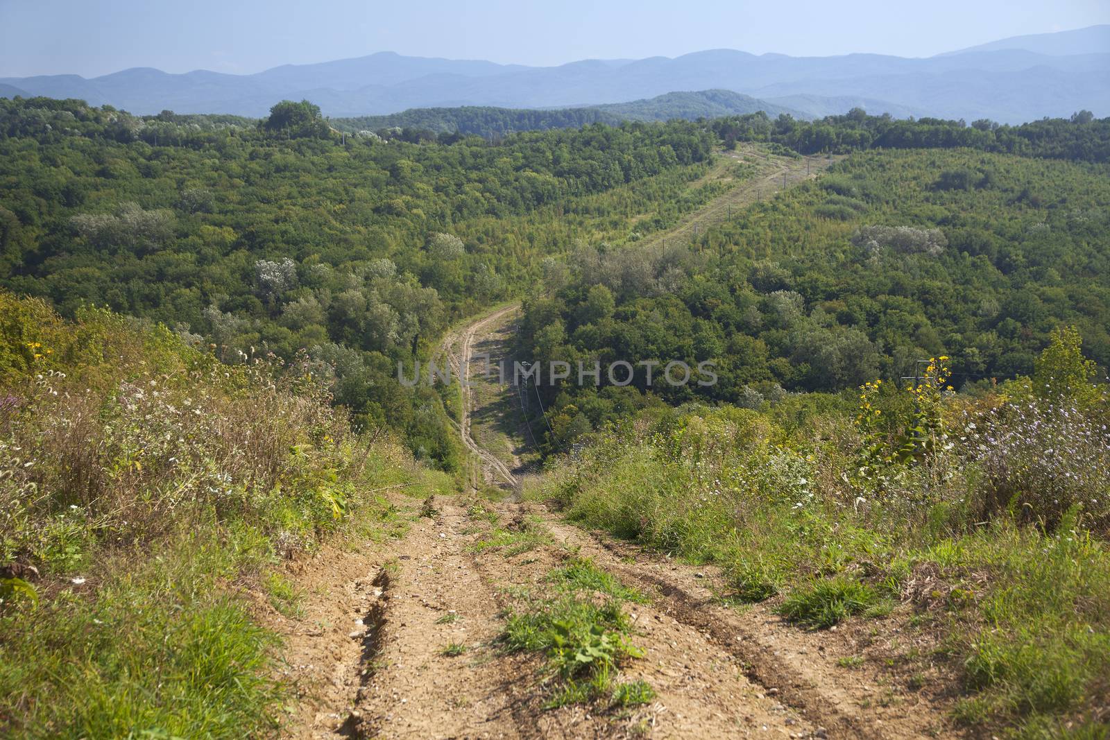 Country road by Angorius