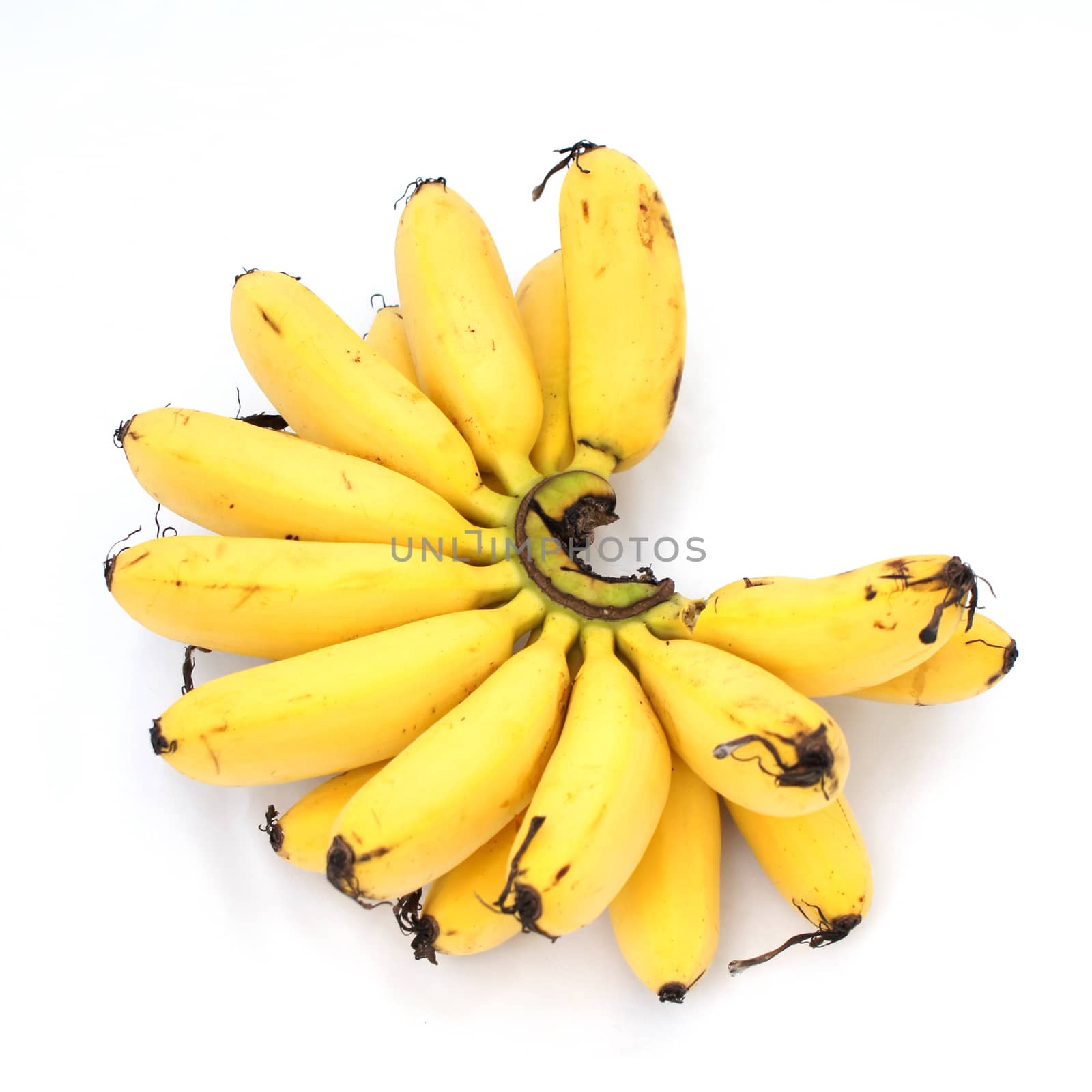 Banana on isolate white background by Noppharat_th
