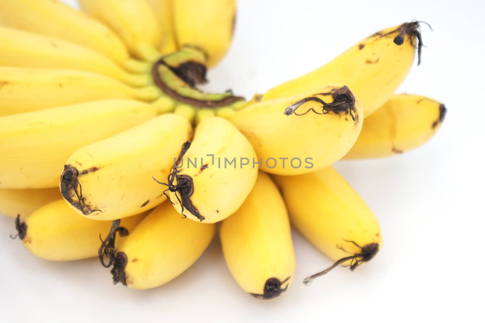 Banana on isolate white background by Noppharat_th