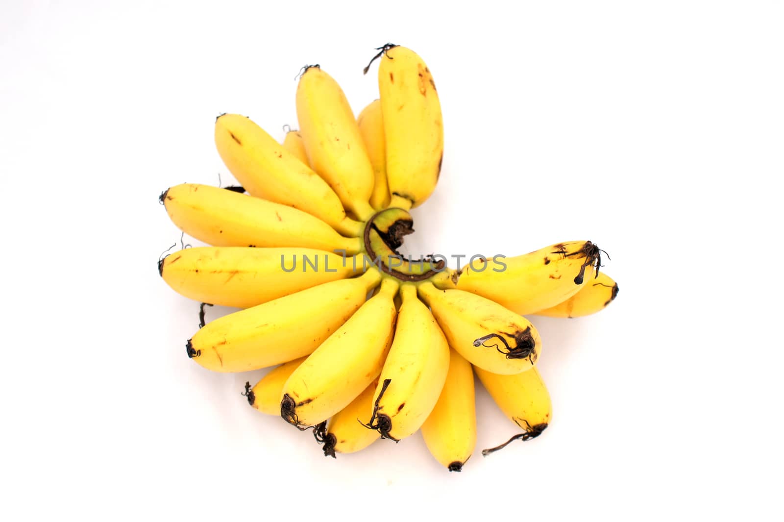 Banana on isolate white background by Noppharat_th