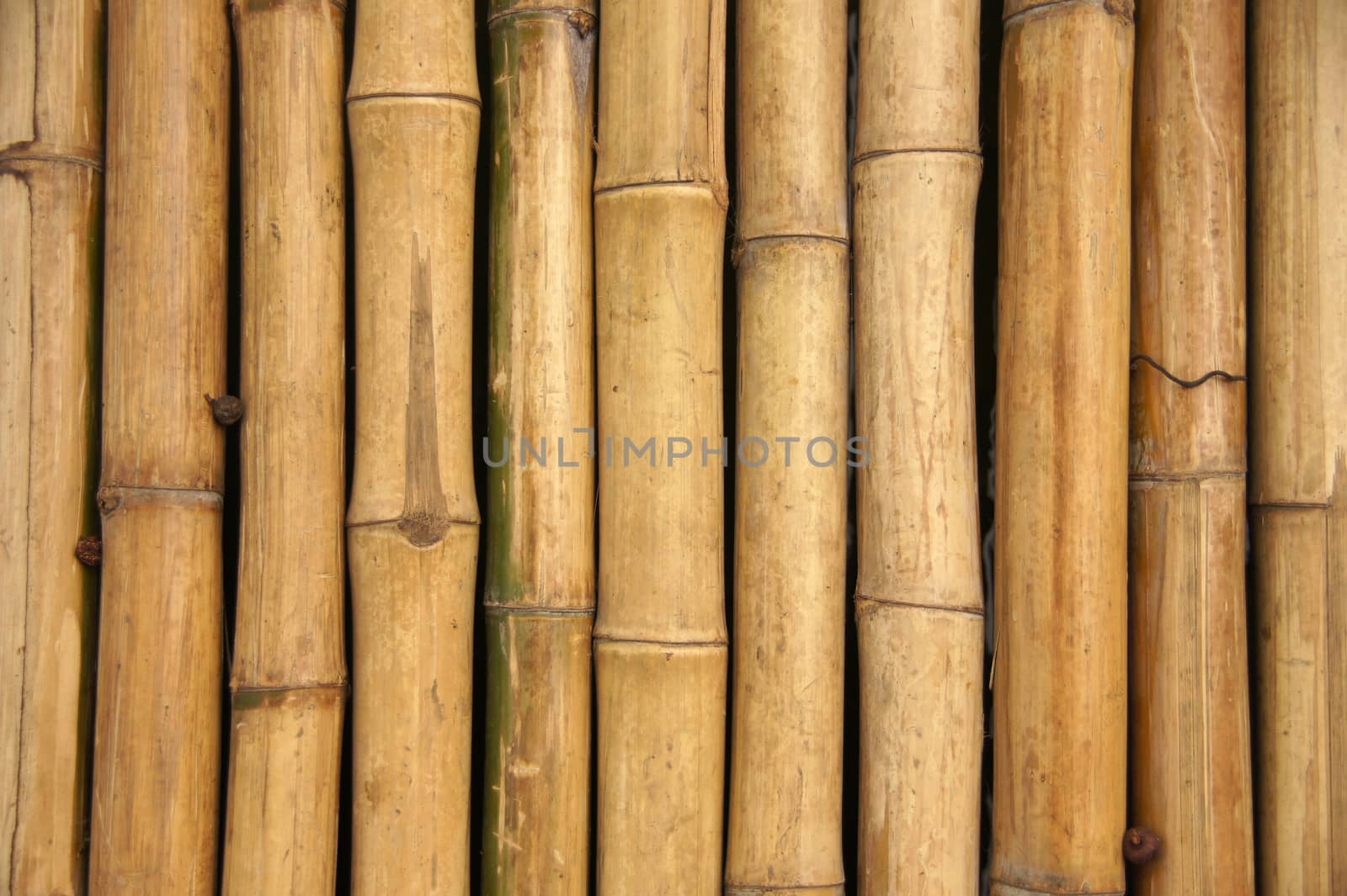 Bamboo wall