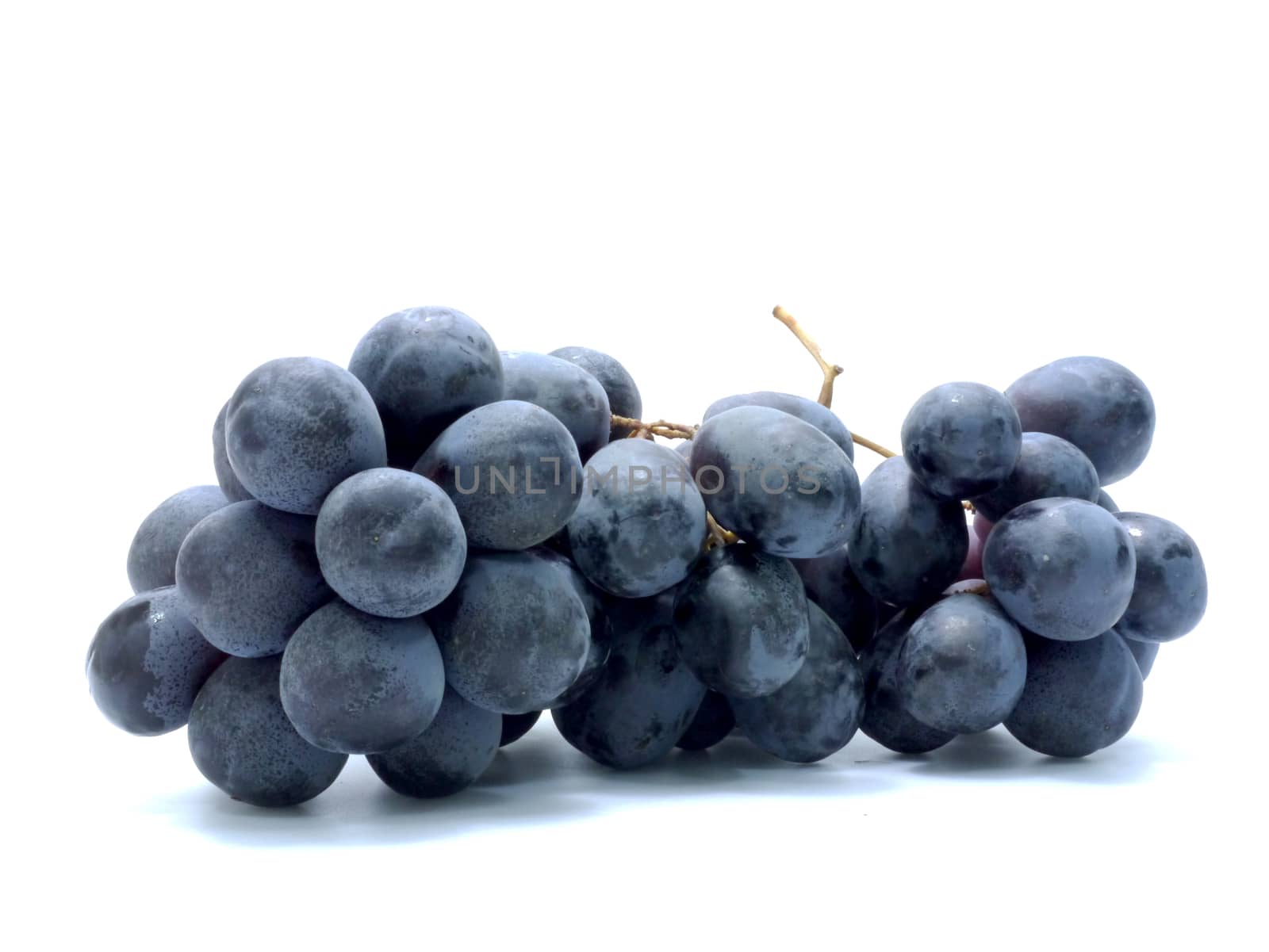 Black grapes isolated on white background. by Noppharat_th