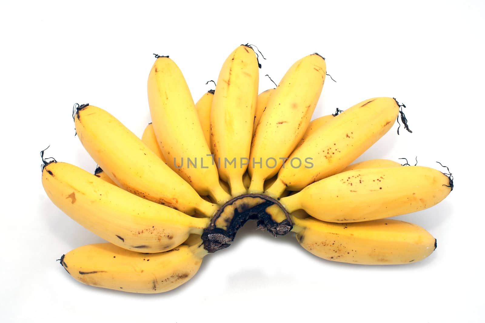 Ripe banana with white background. by Noppharat_th