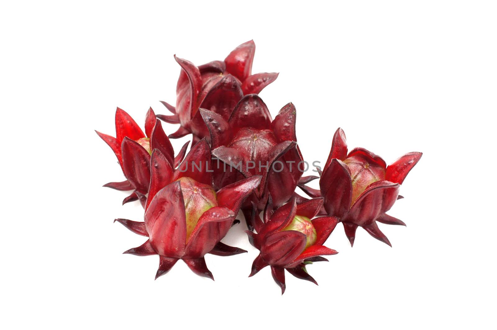 Hibiscus sabdariffa or roselle fruits by Noppharat_th