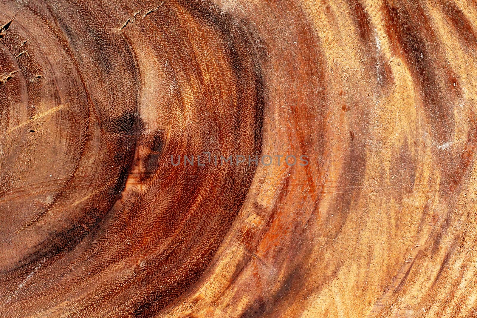 texture of wood for furniture making by Noppharat_th