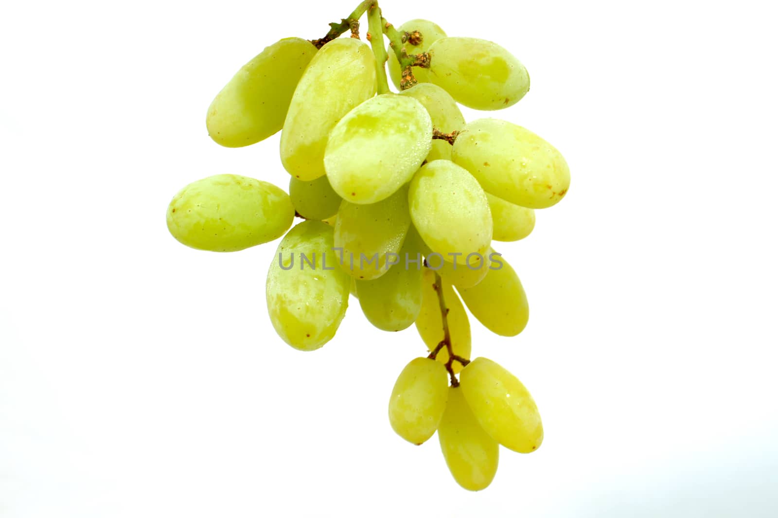 Yellow grape isolated