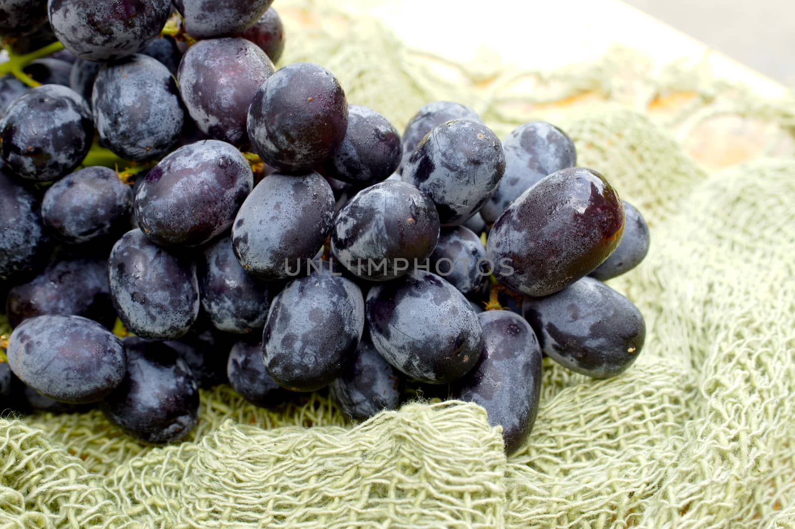 fruit and fabric