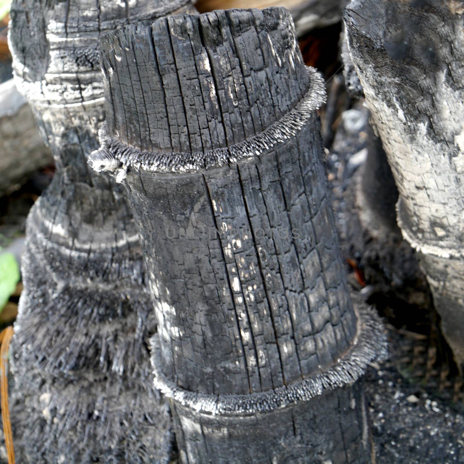 Bamboo charcoal for making inks.
