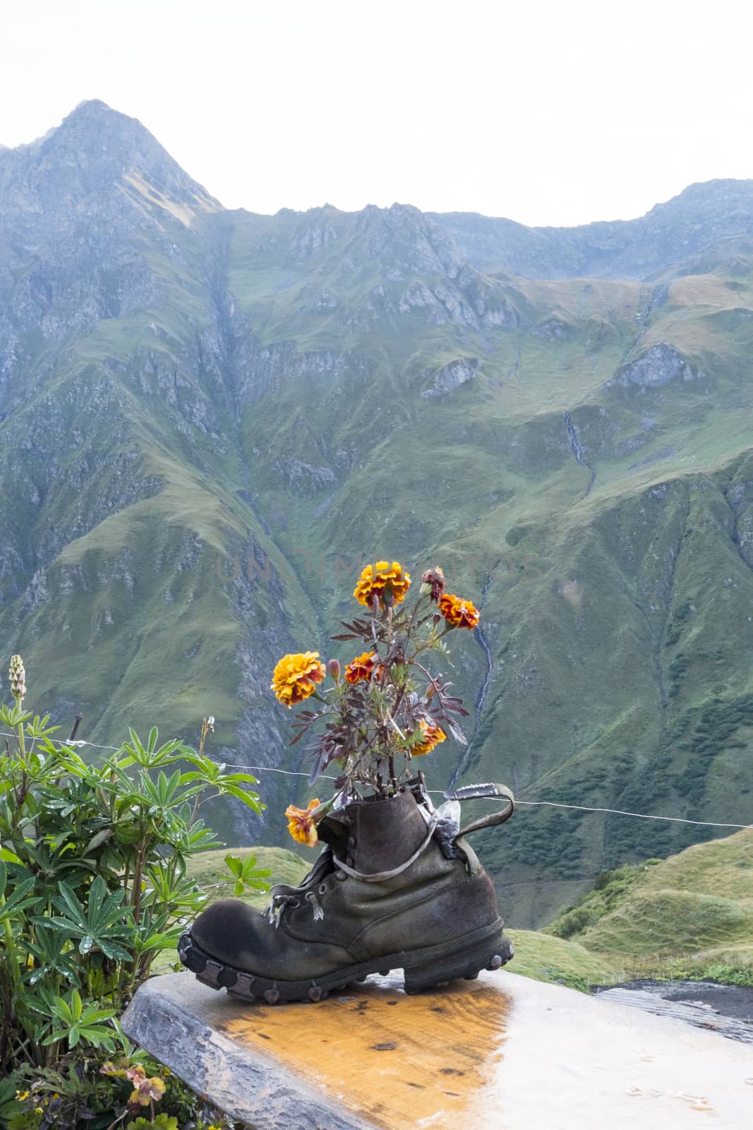 LA PEULE, SWITZERLAND - AUGUST 30: Walking boot turned flower pot in refuge La Peule, with mountains in the background. The refuge is a Mont Blanc tour stage. August 30, 2014 in La Peule.