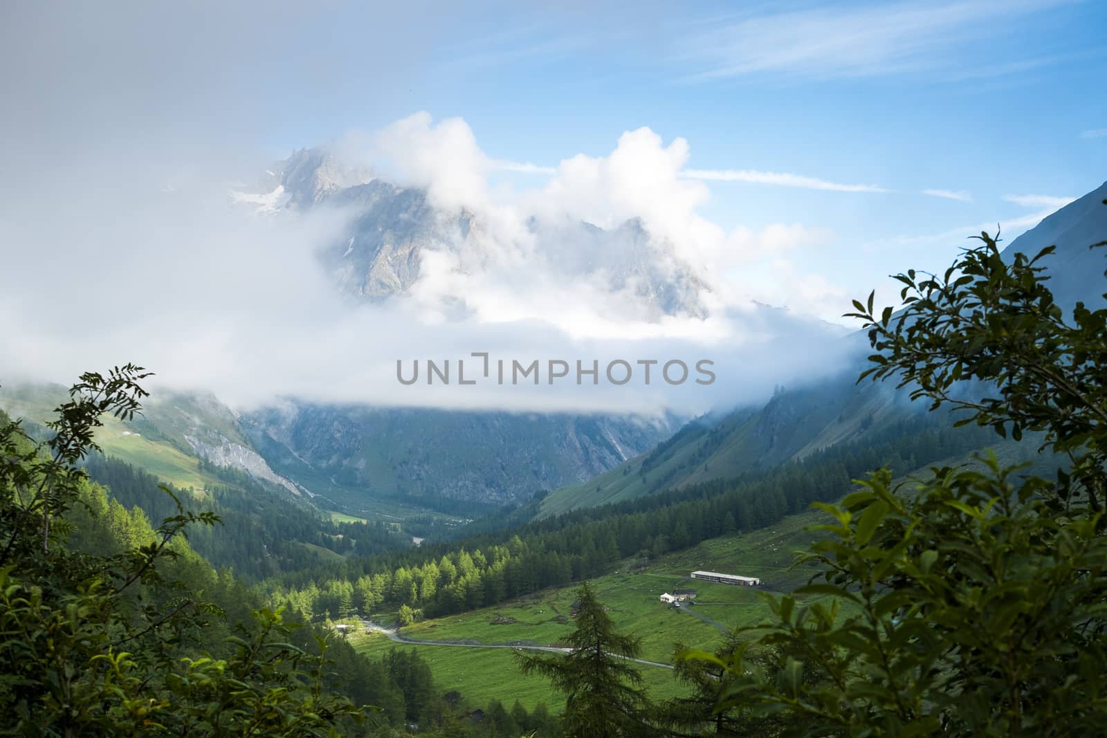 Valley in Les Ars Dessus, Switzerland, with forest and La Tsarve mountain surrounded by clouds in the background.