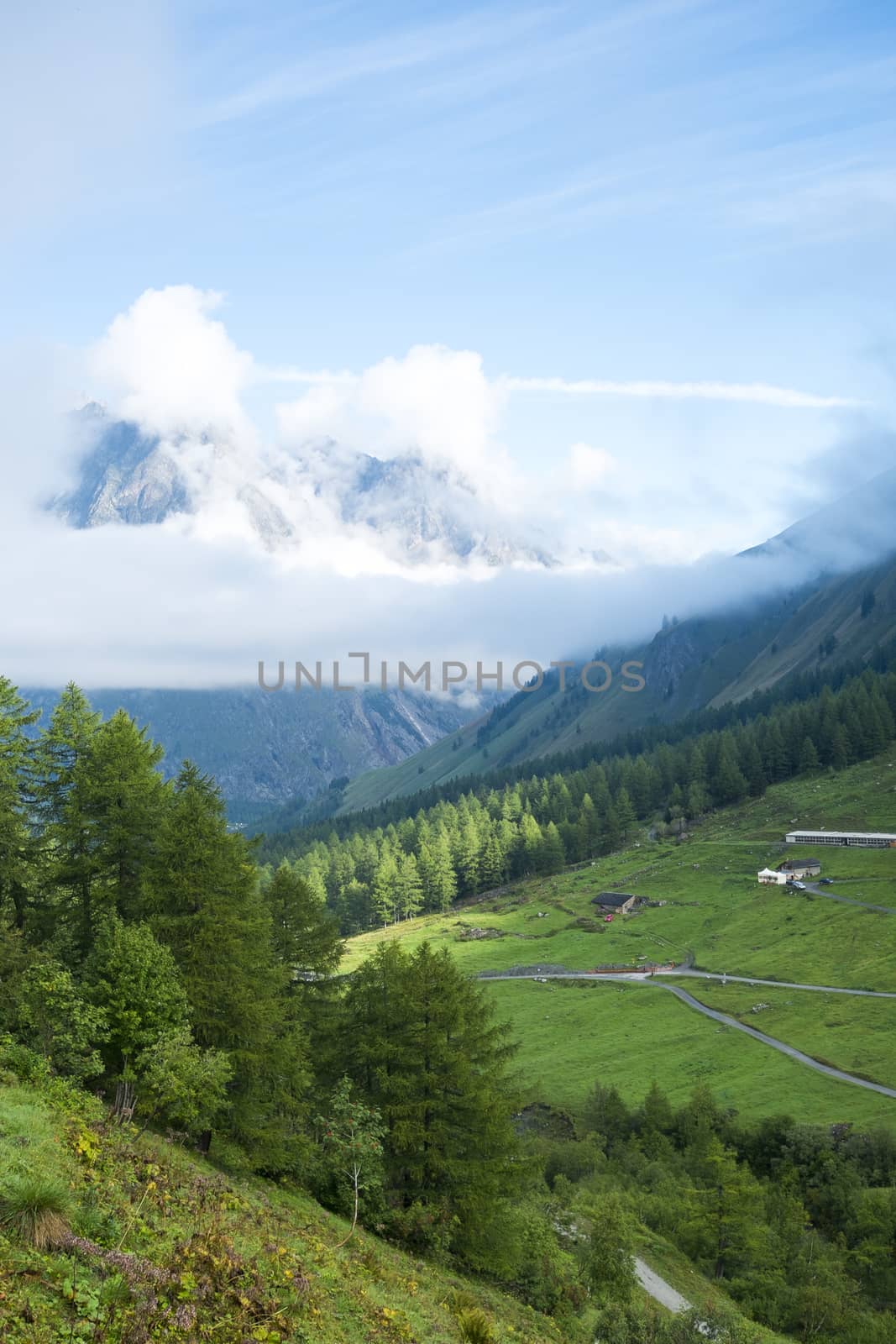 Valley in Les Ars Dessus, Switzerland, with forest and La Tsarve mountain surrounded by clouds in the background.