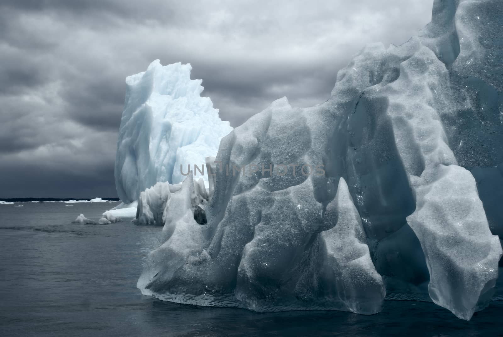 Glaciers floating in the ocean               under cloudy grey sky in Laguna San Rafael